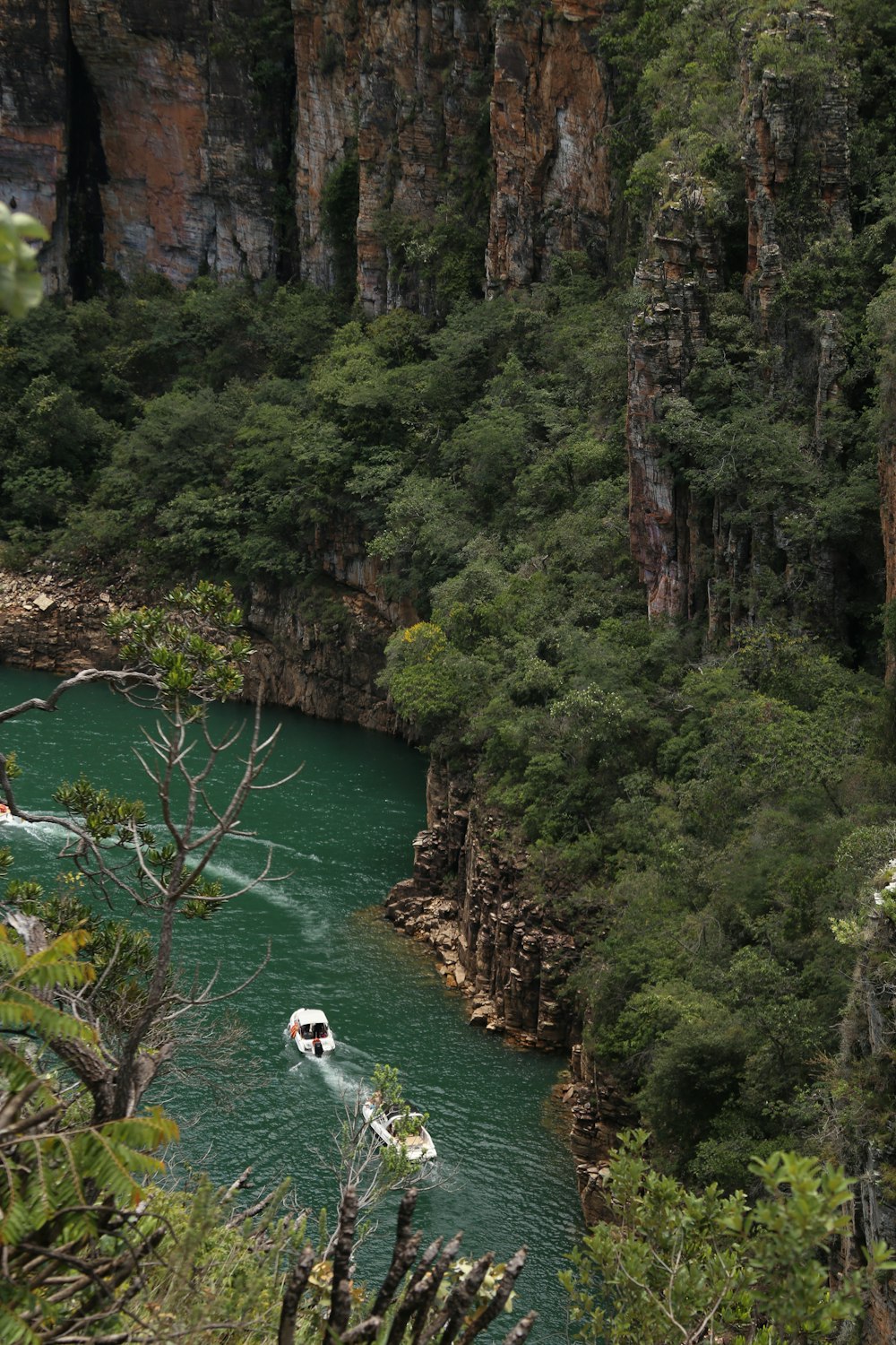 Una barca che viaggia lungo un fiume vicino a una lussureggiante foresta verde