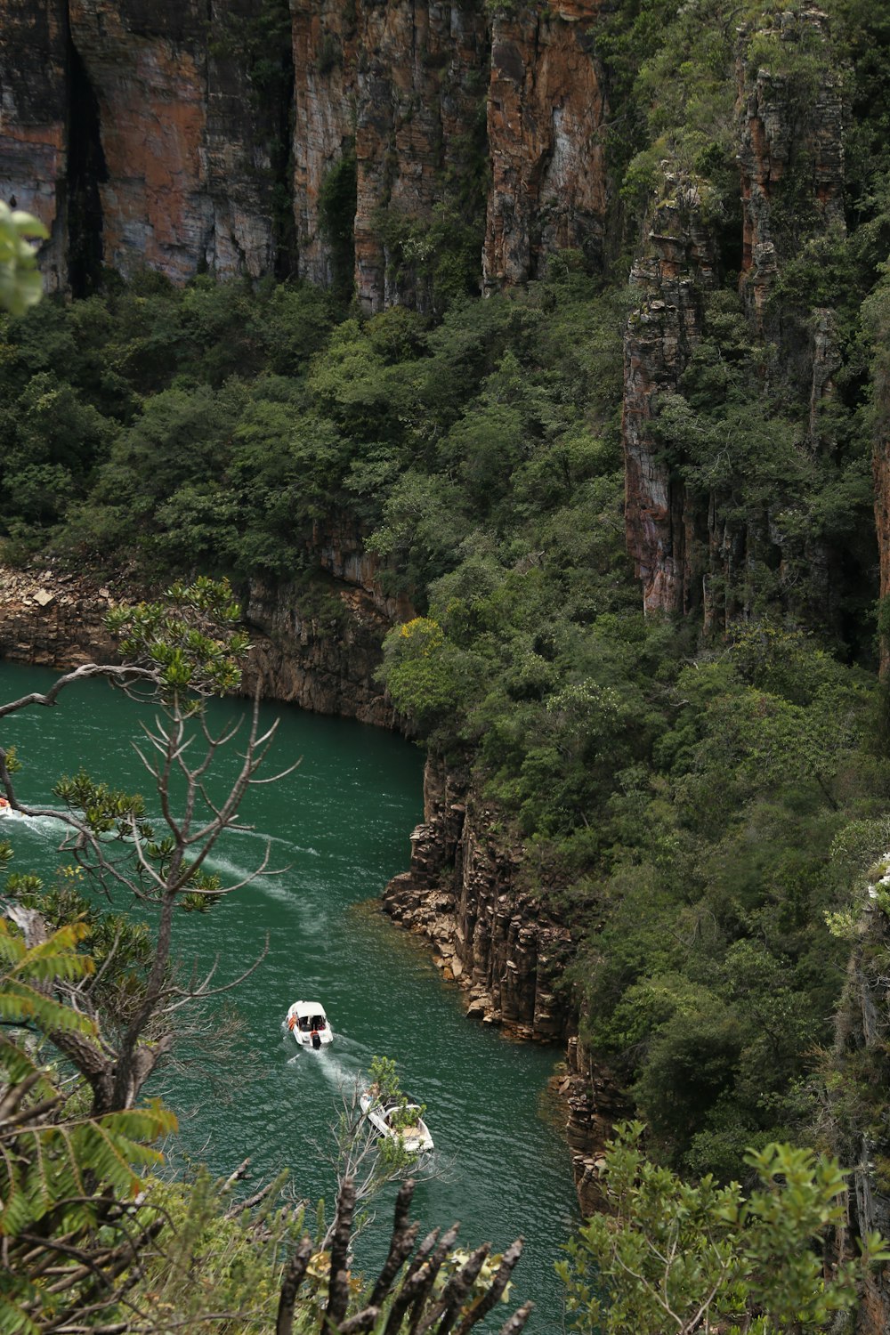 a boat traveling down a river next to a lush green forest