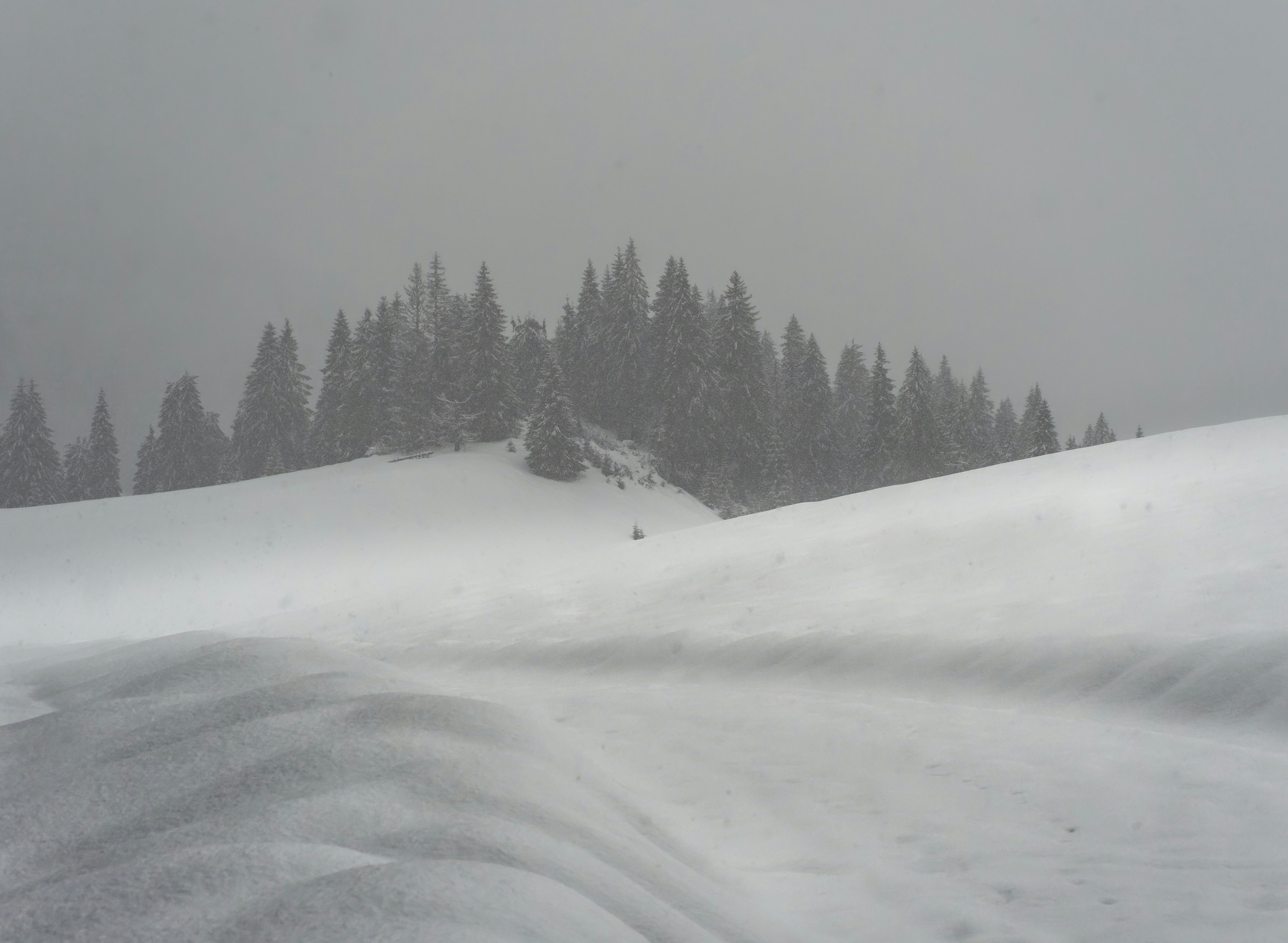 Photo by illes_cristi