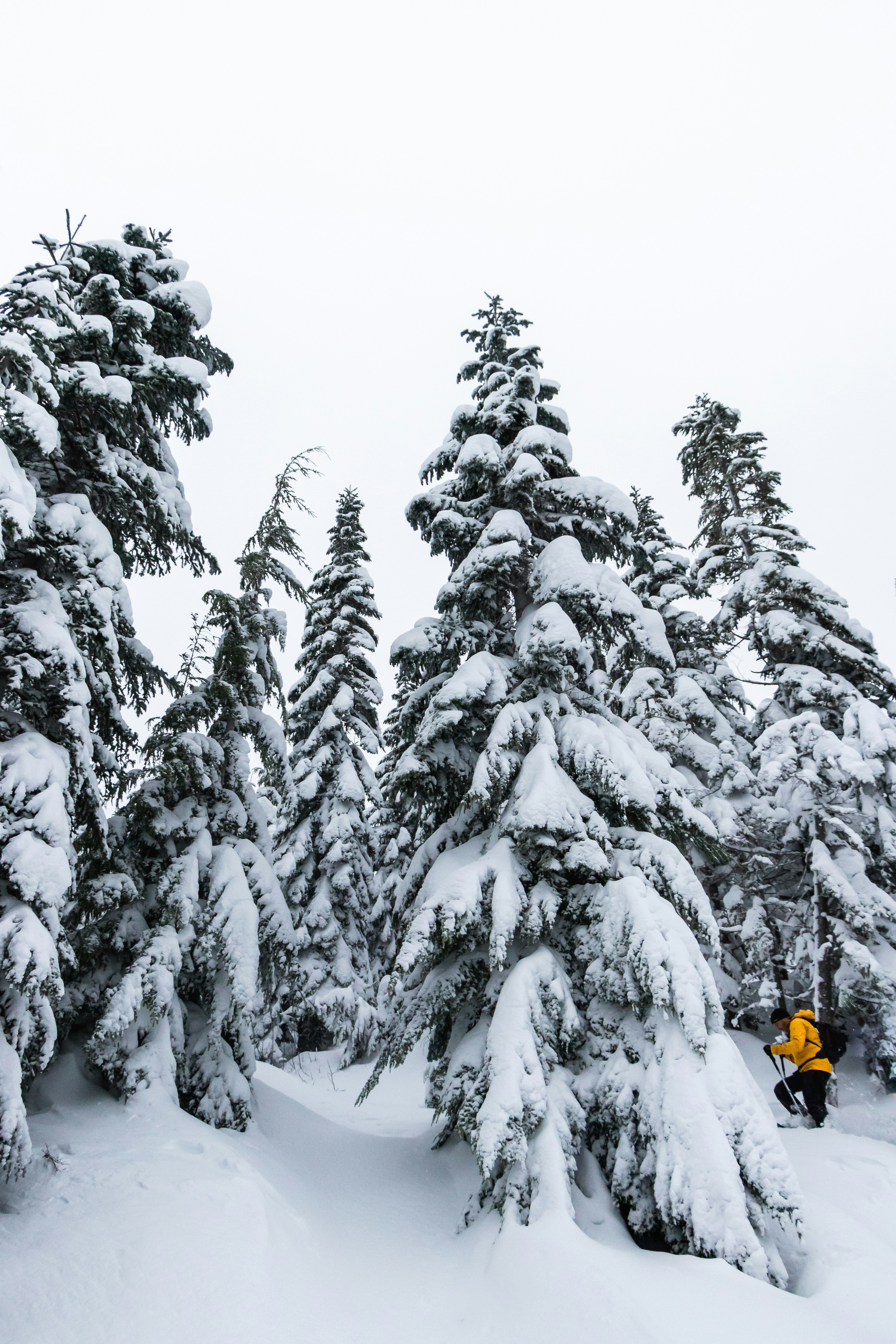 Photo by greg_rosenke