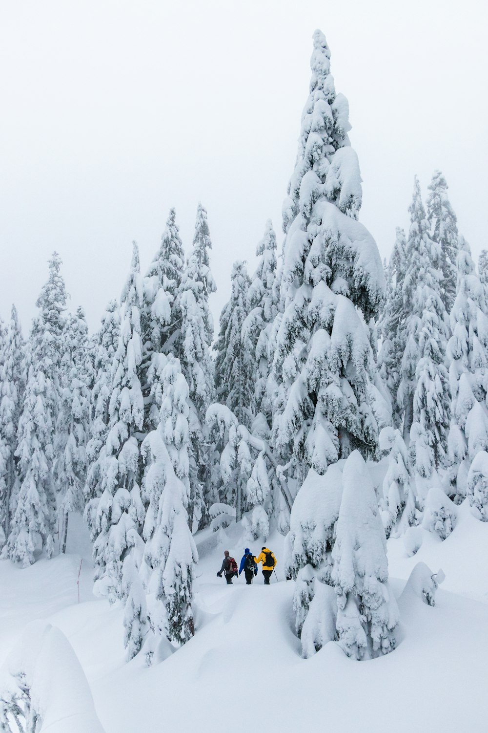 a group of people standing on top of a snow covered slope