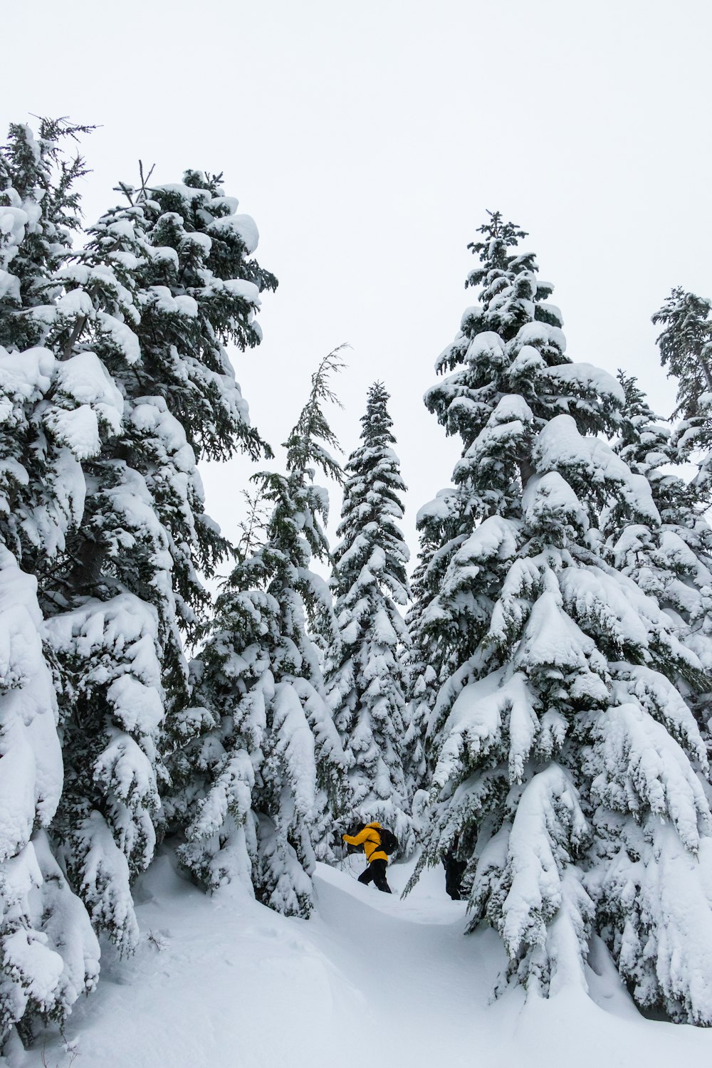 a person is skiing down a snowy hill