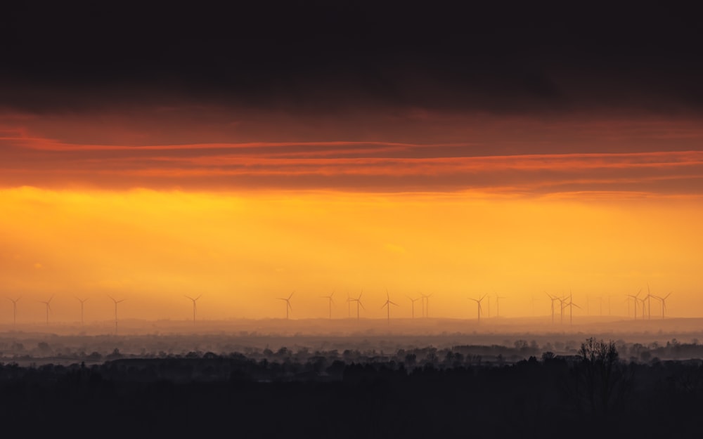 a view of a field with wind mills in the distance