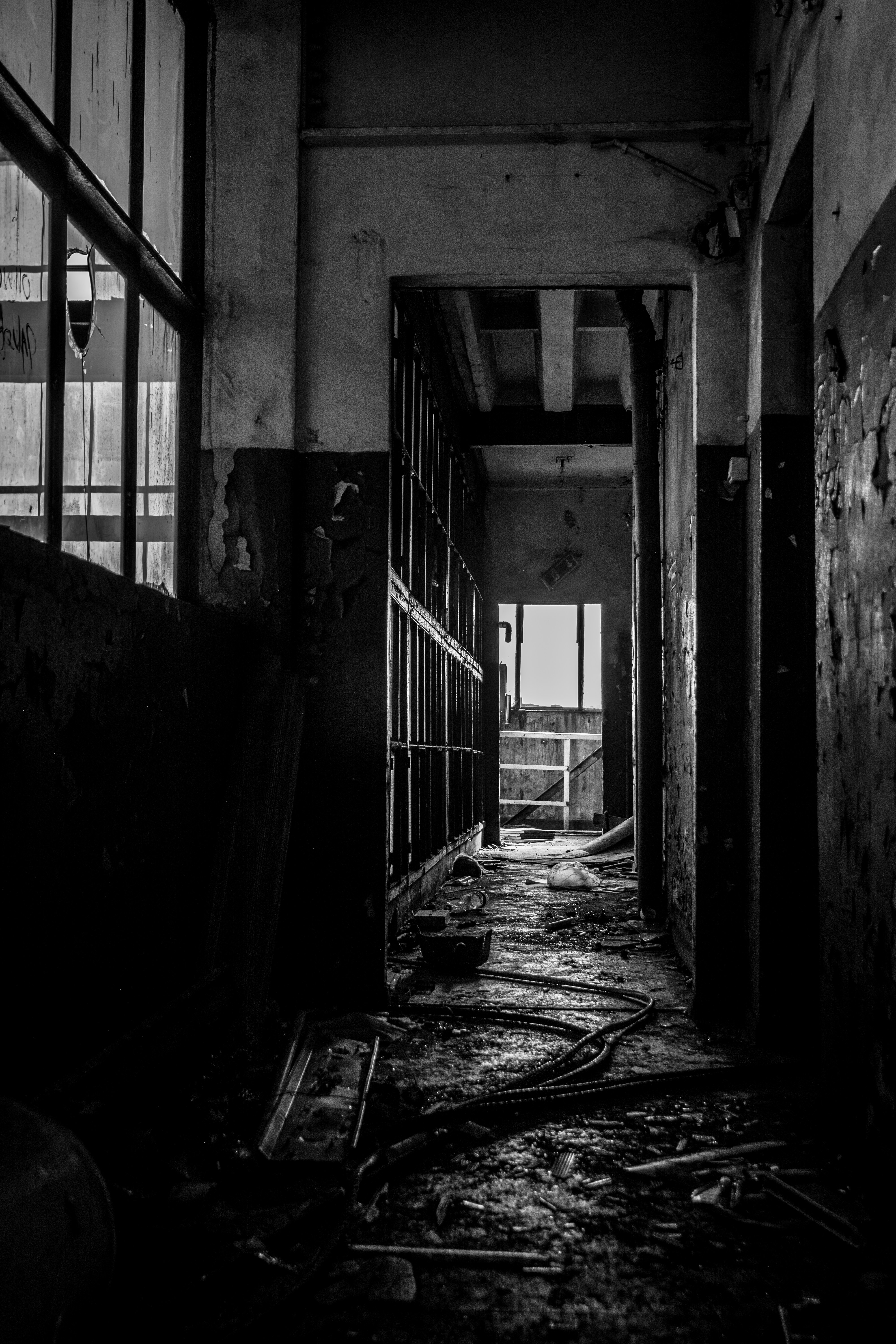 Photo by suchencjusz