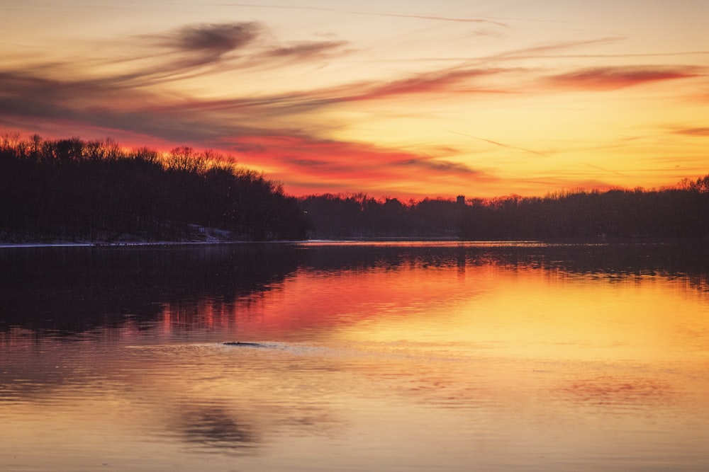 a sunset over a body of water with trees in the background