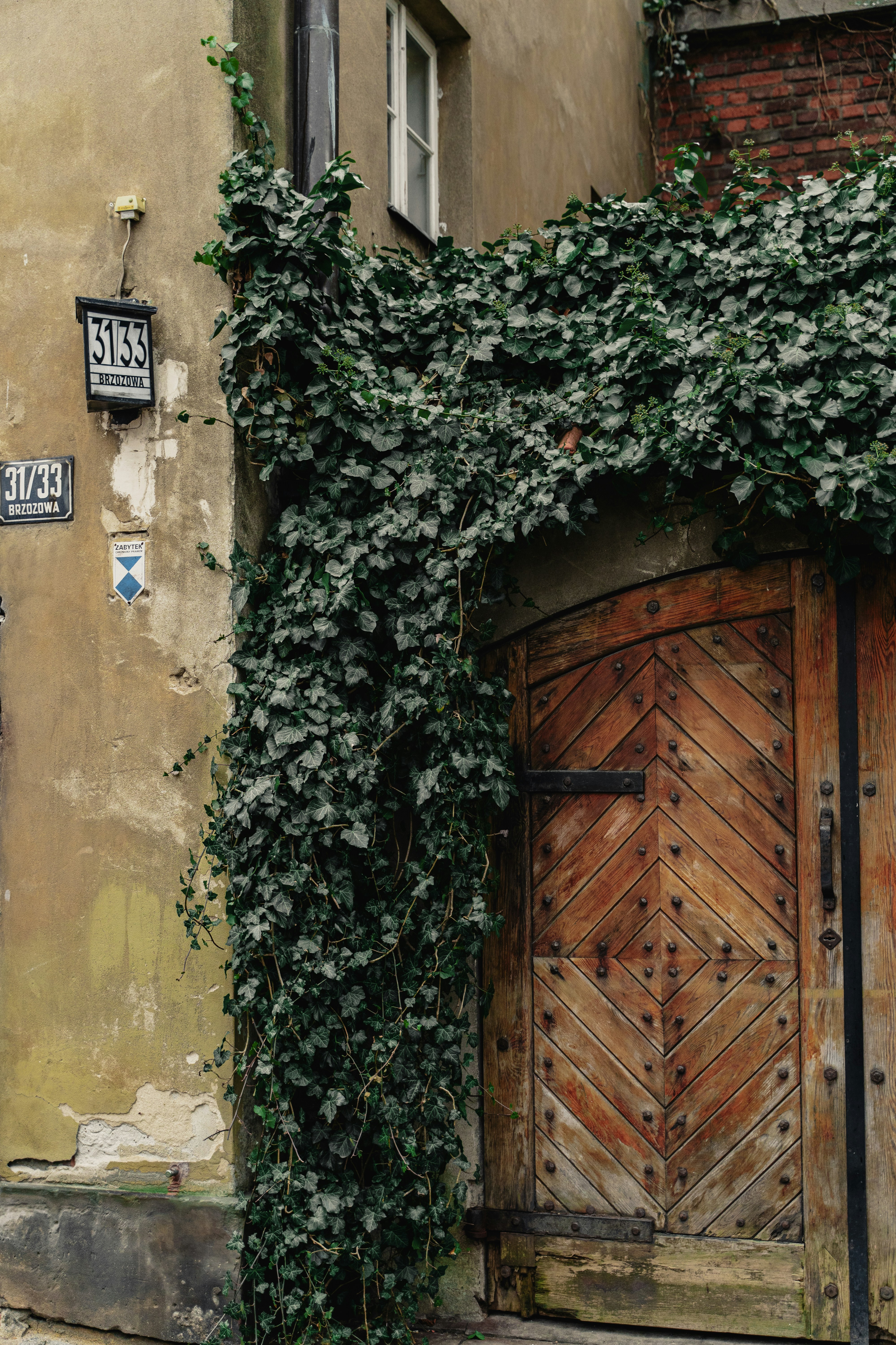 Photo by maksym_tymchyk