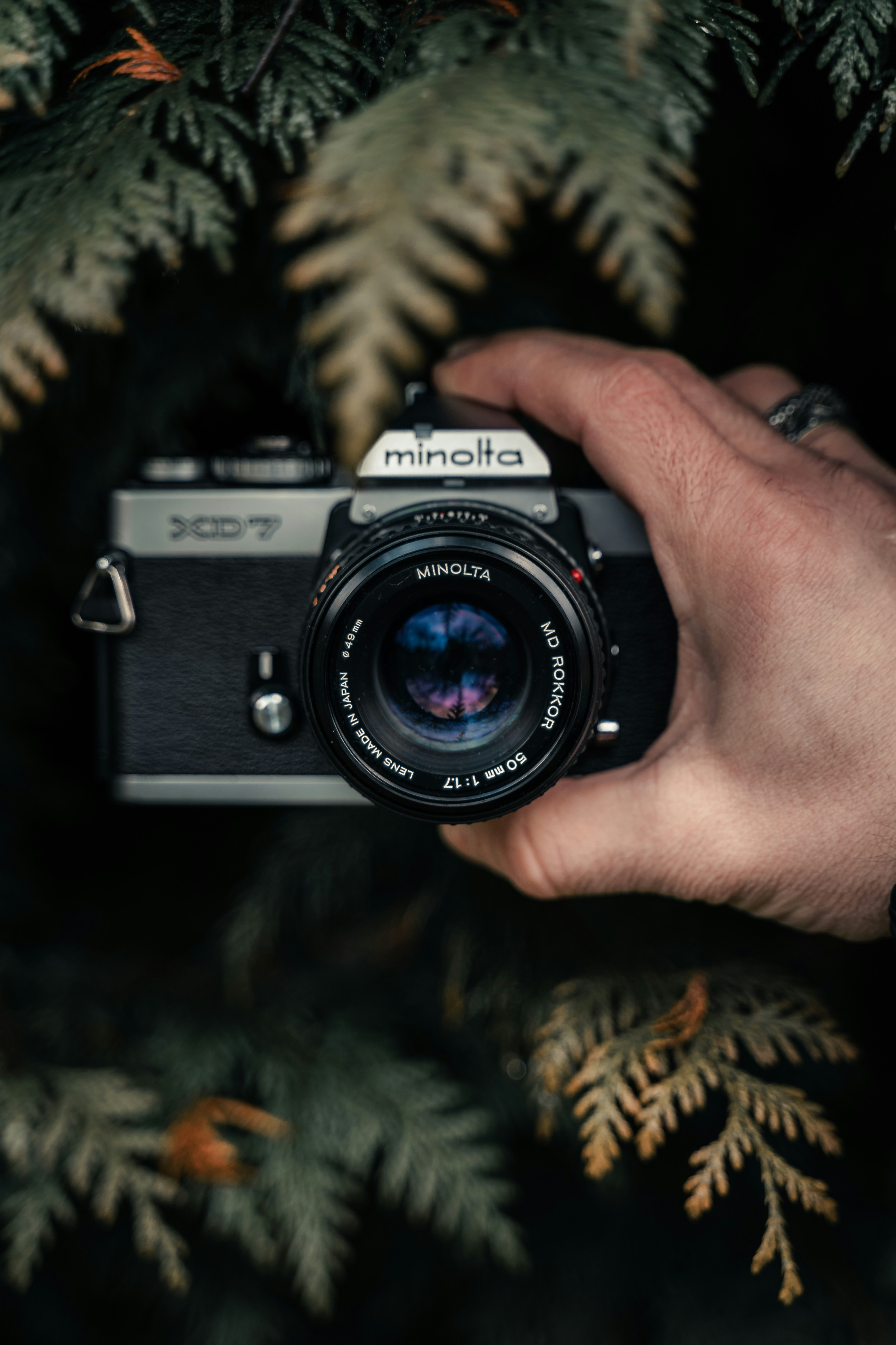 Photo by antesamarzija