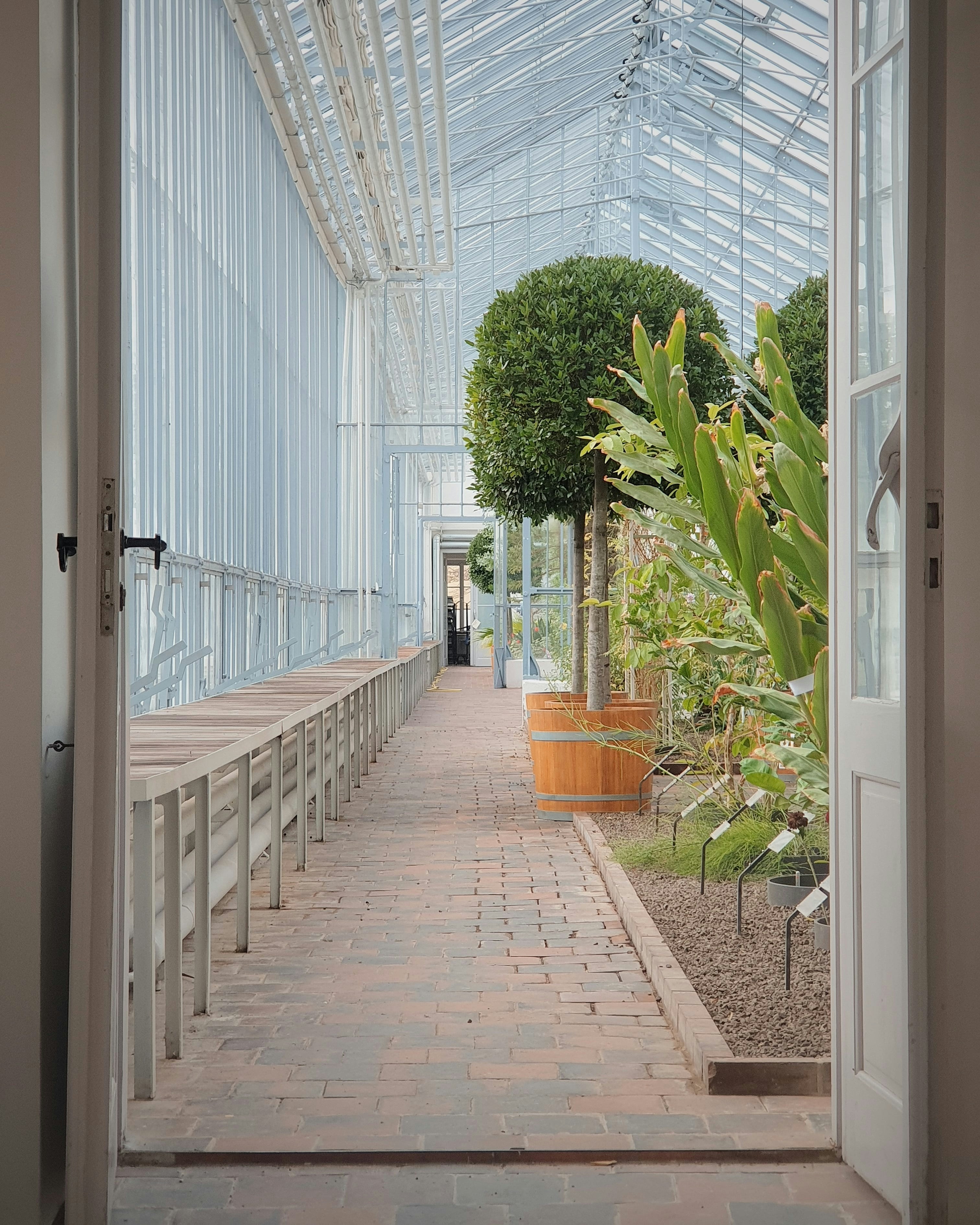 Photo by illiakholin