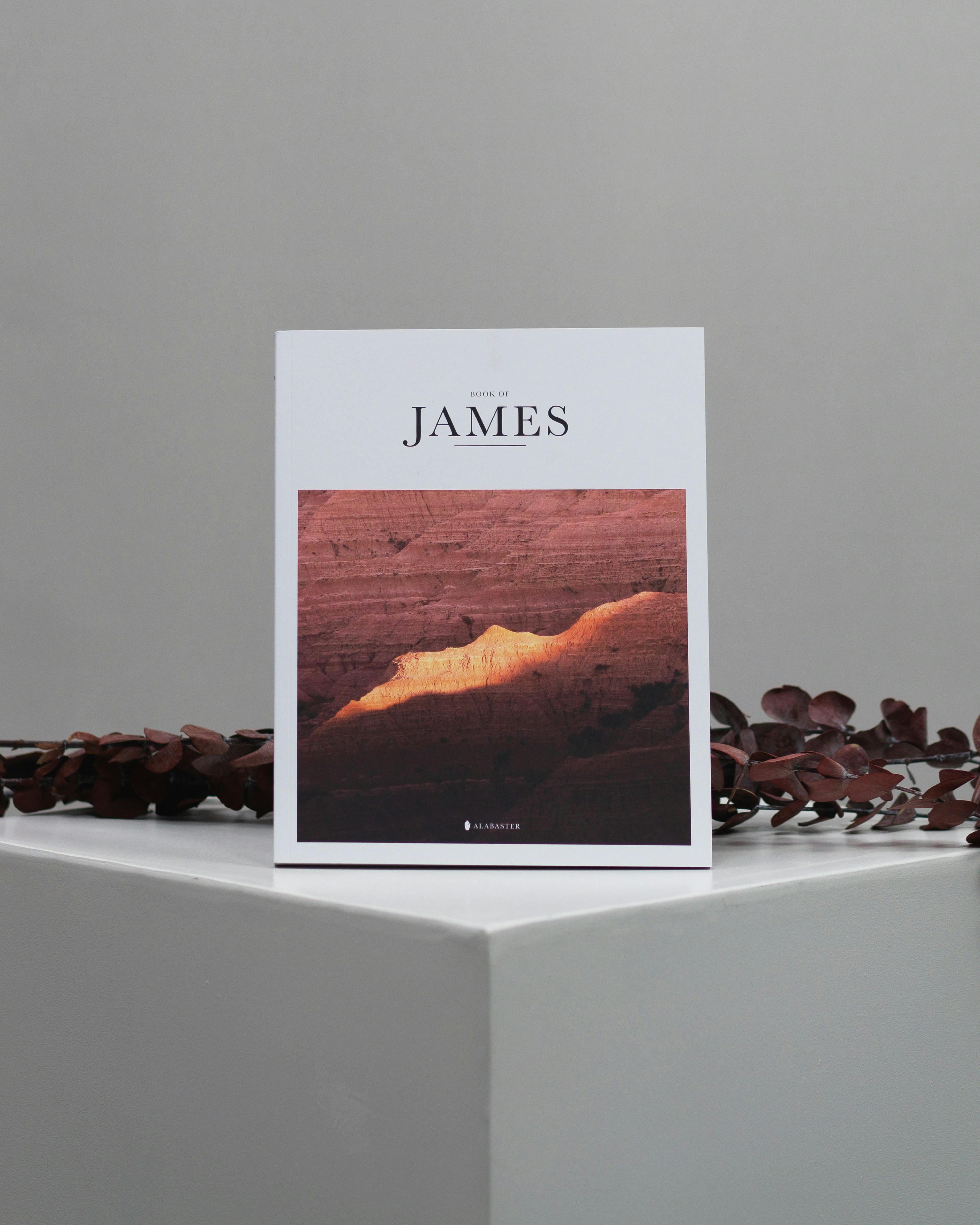 The Book of James