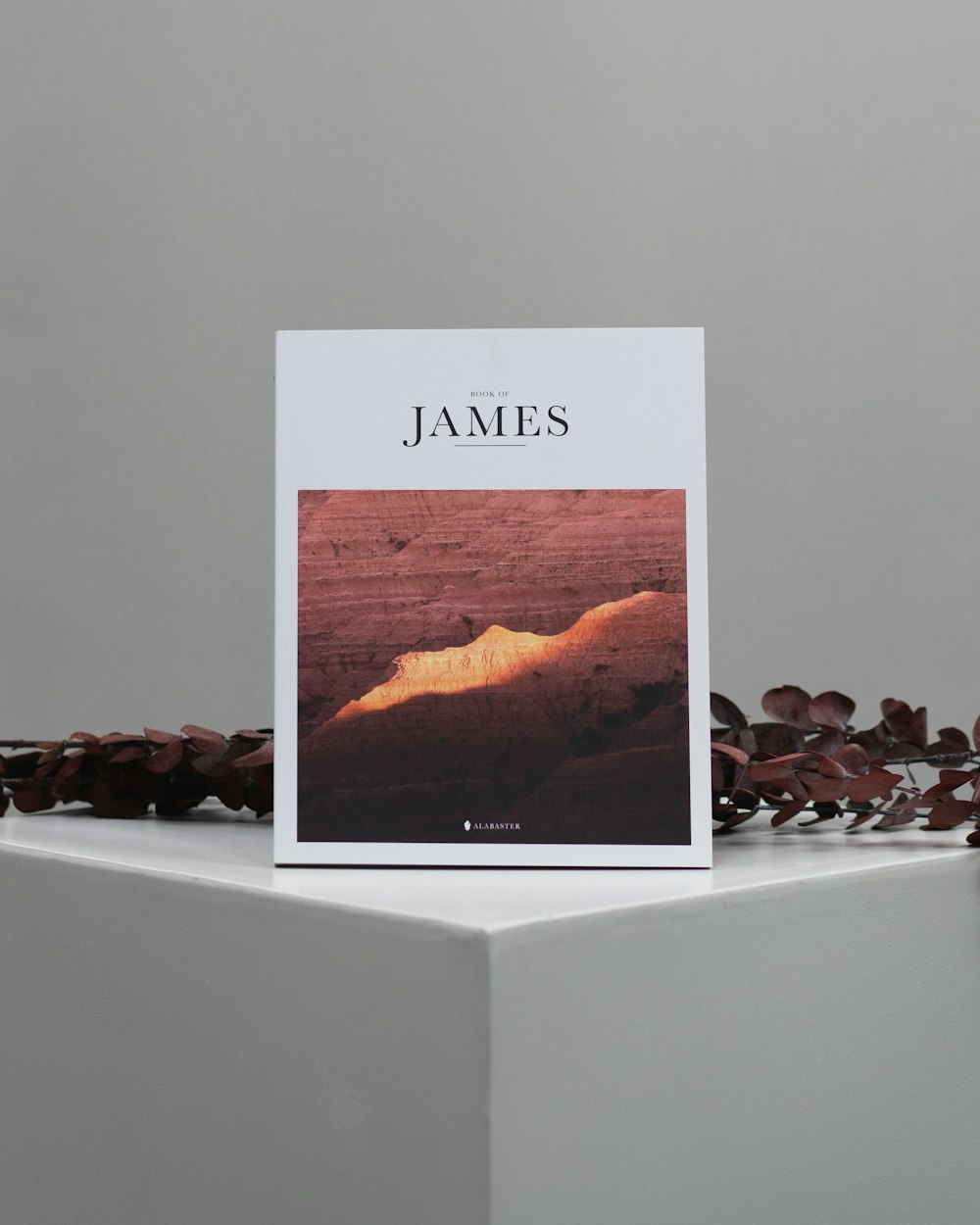 a book sitting on top of a white table