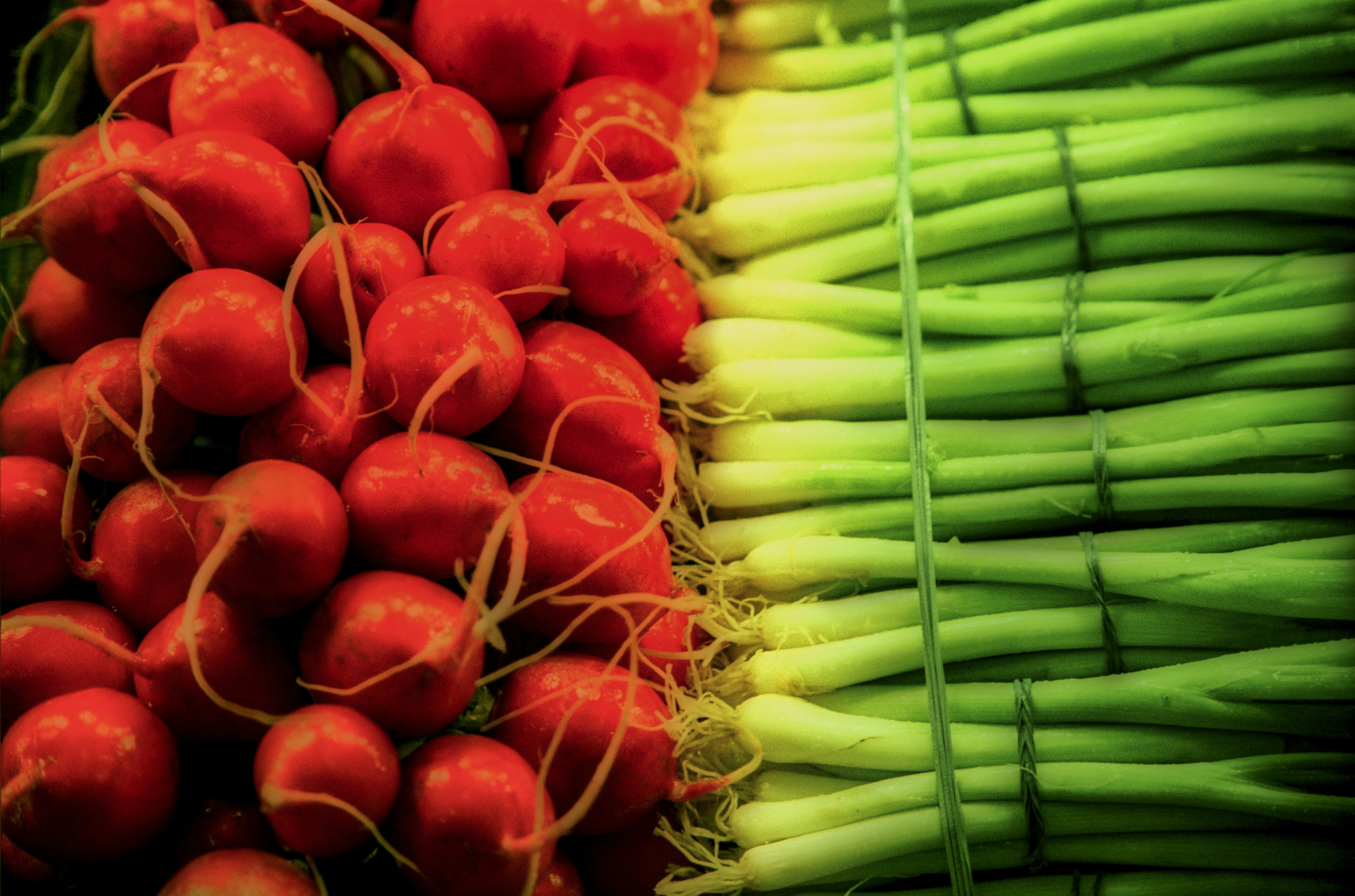 Photo by rocinante_11