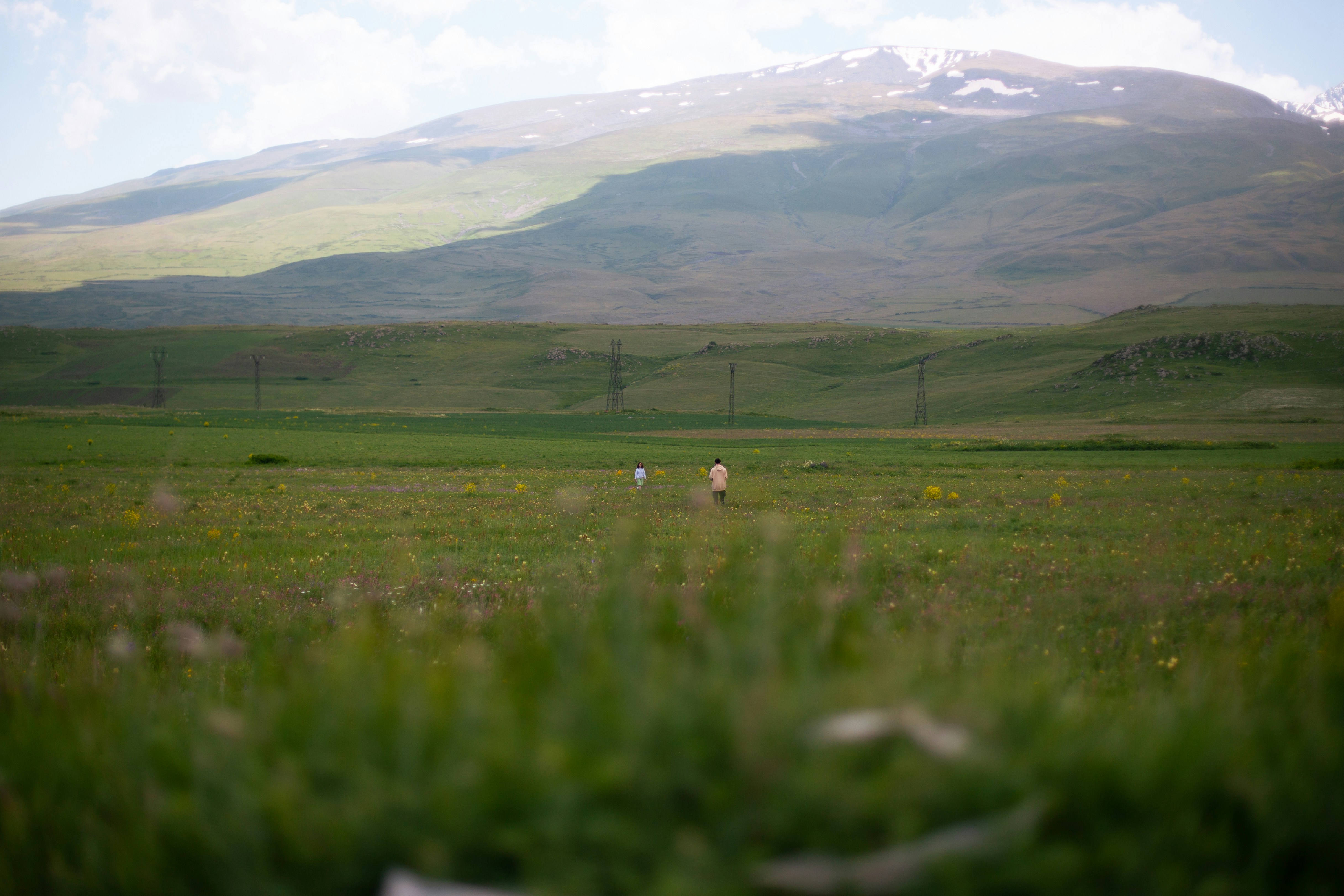 緑豊かな野原を歩いているカップル
