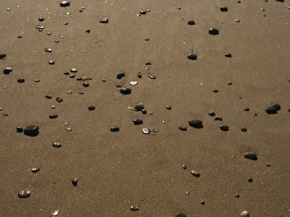 a sandy beach covered in lots of small rocks