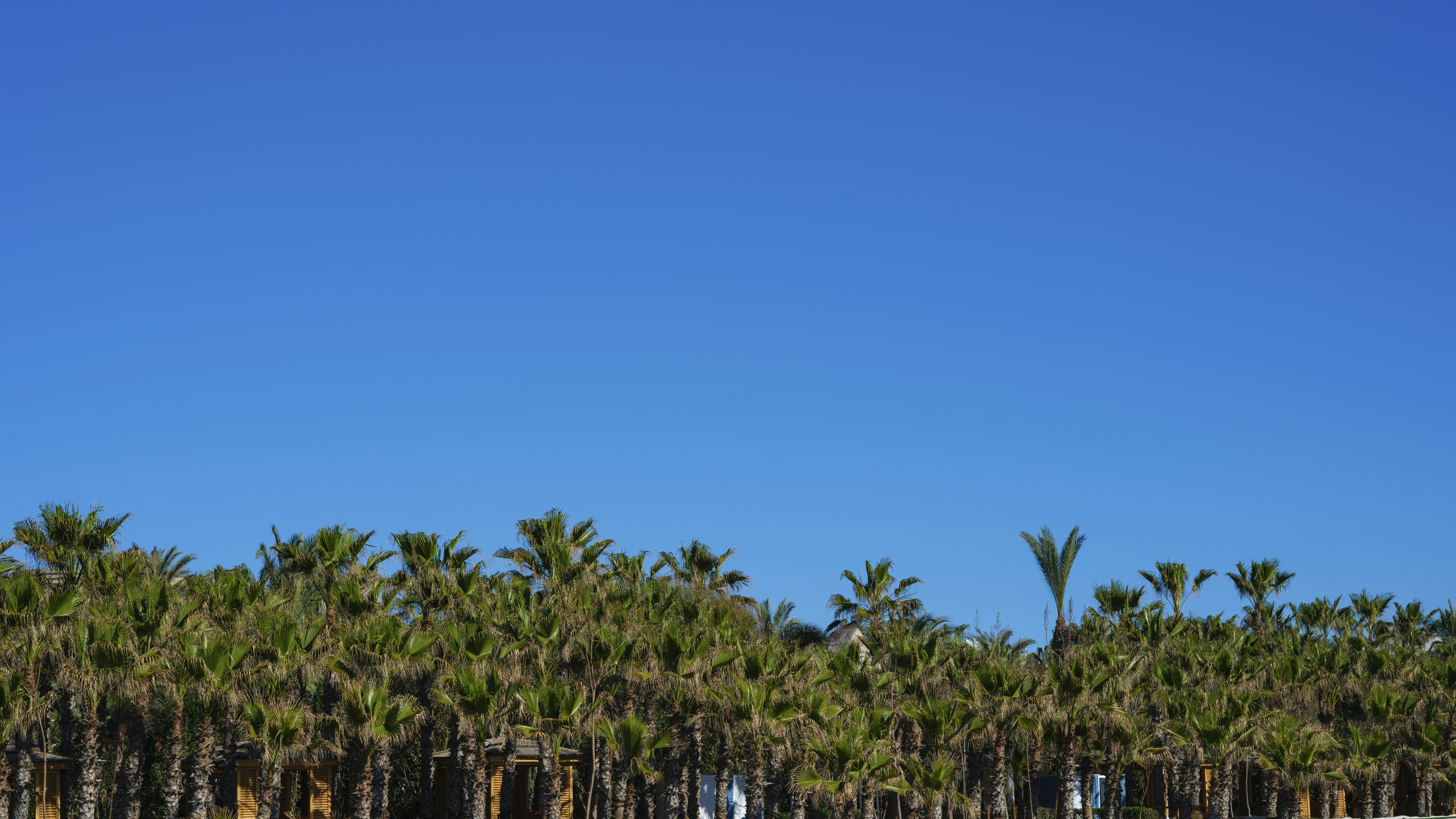 Photo by enginakyurt