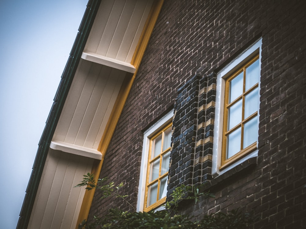 a brick building with two windows and a plant growing out of the window