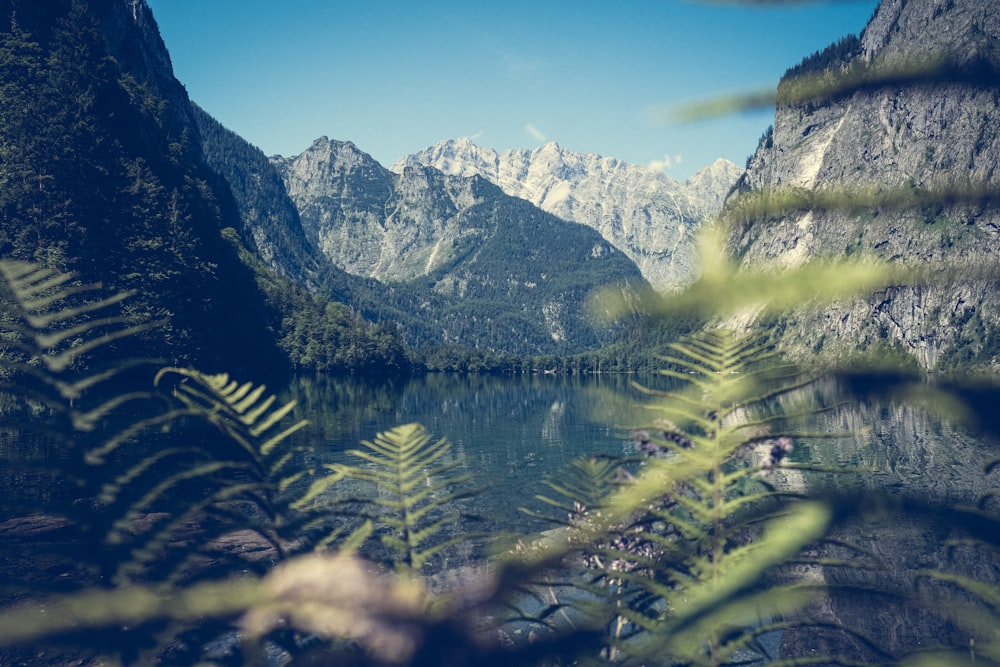 a lake surrounded by mountains and a forest