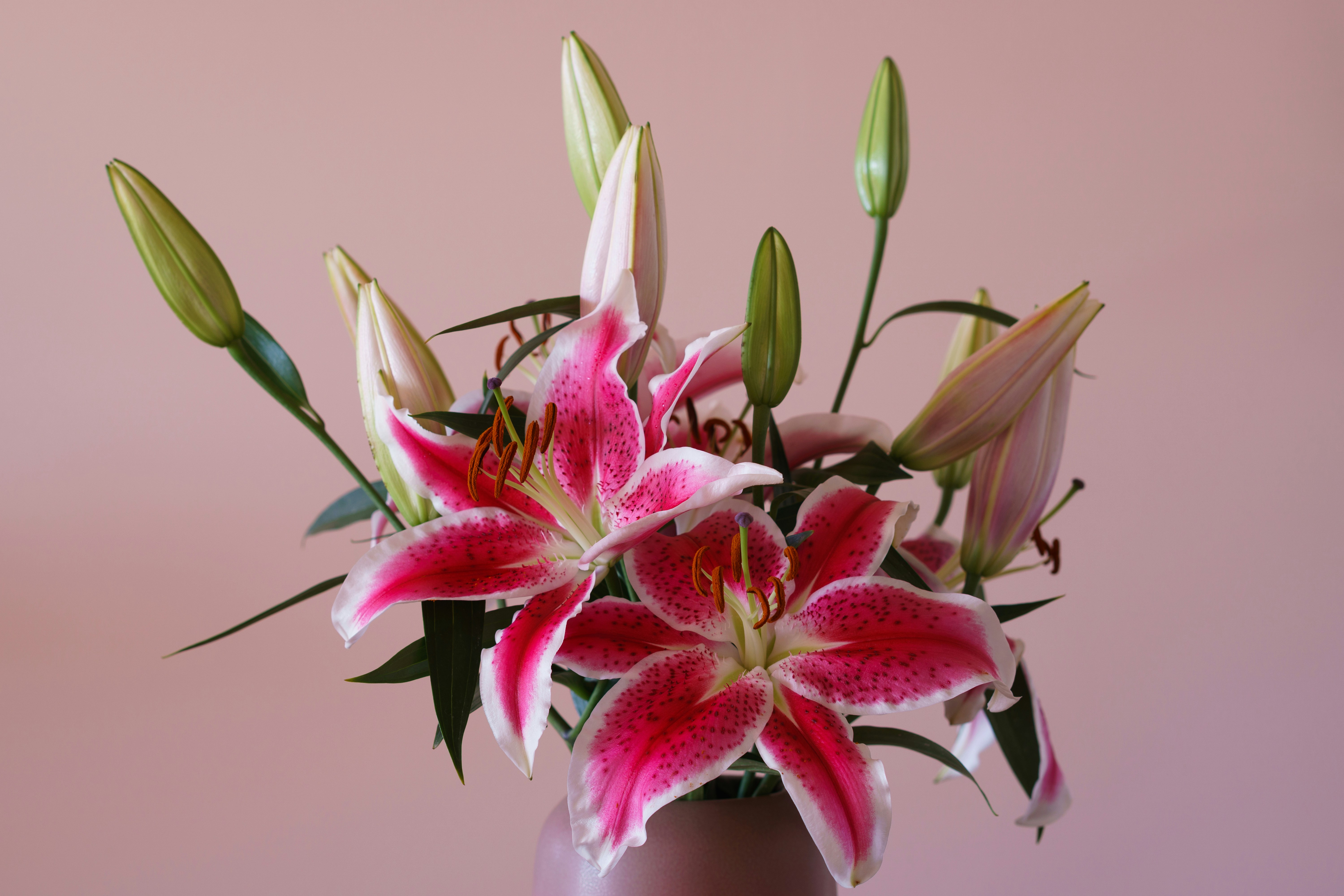 Photo by earl_plannerzone