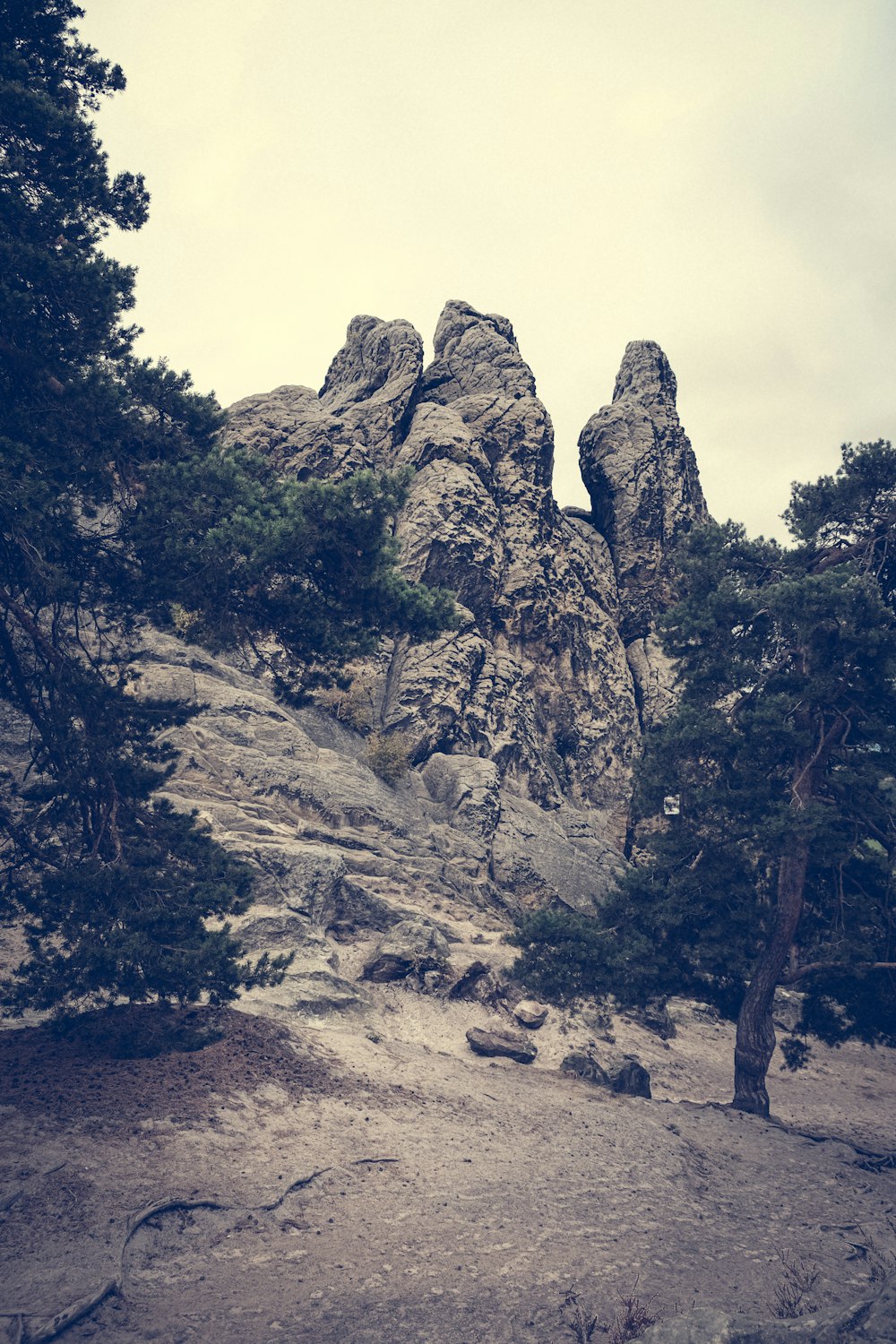 a rocky mountain with trees on the side of it