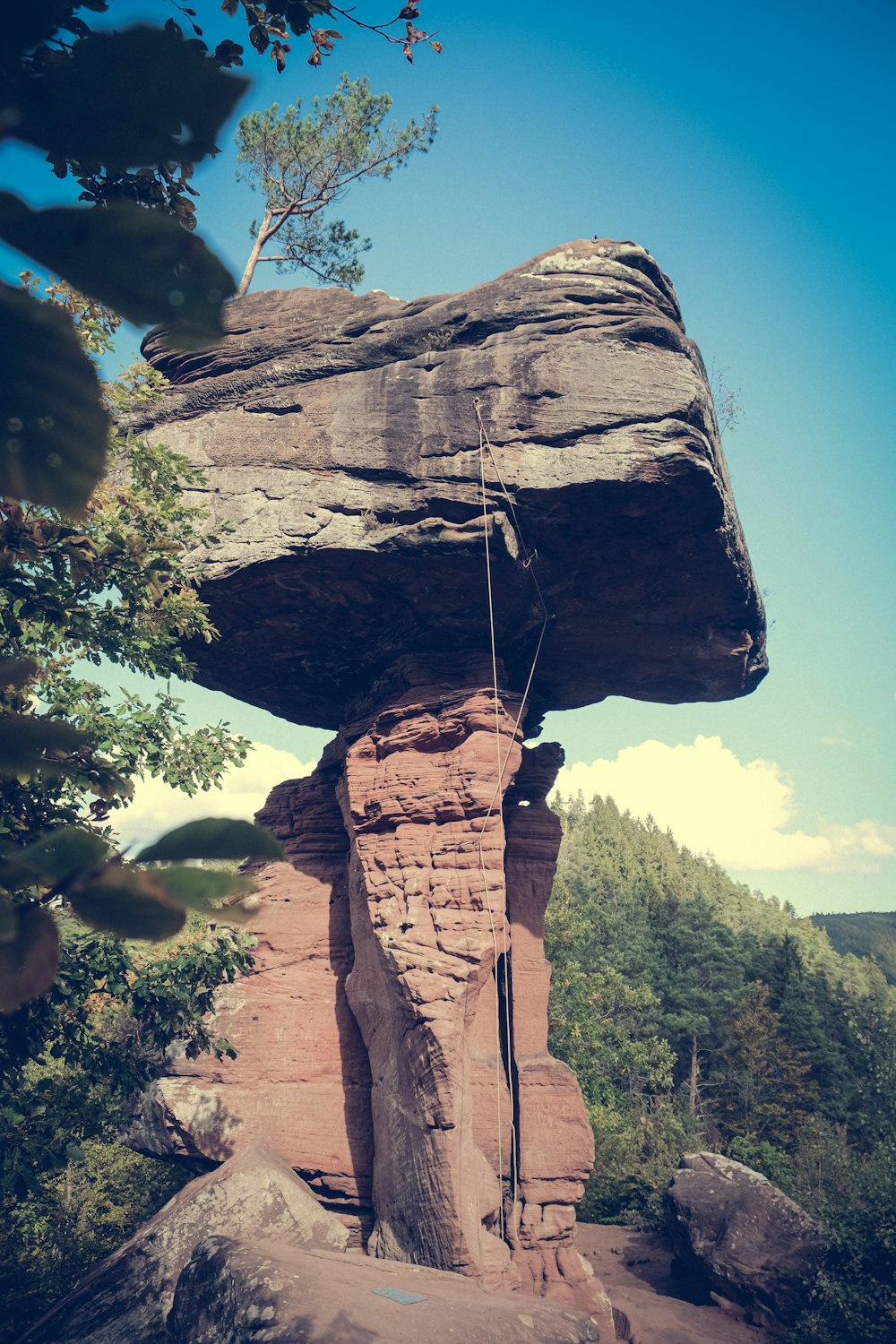 a rock formation with a tree growing out of it