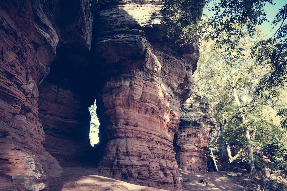 a large rock formation with trees growing out of it