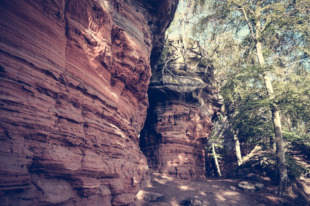 a narrow path between two large rocks in the woods