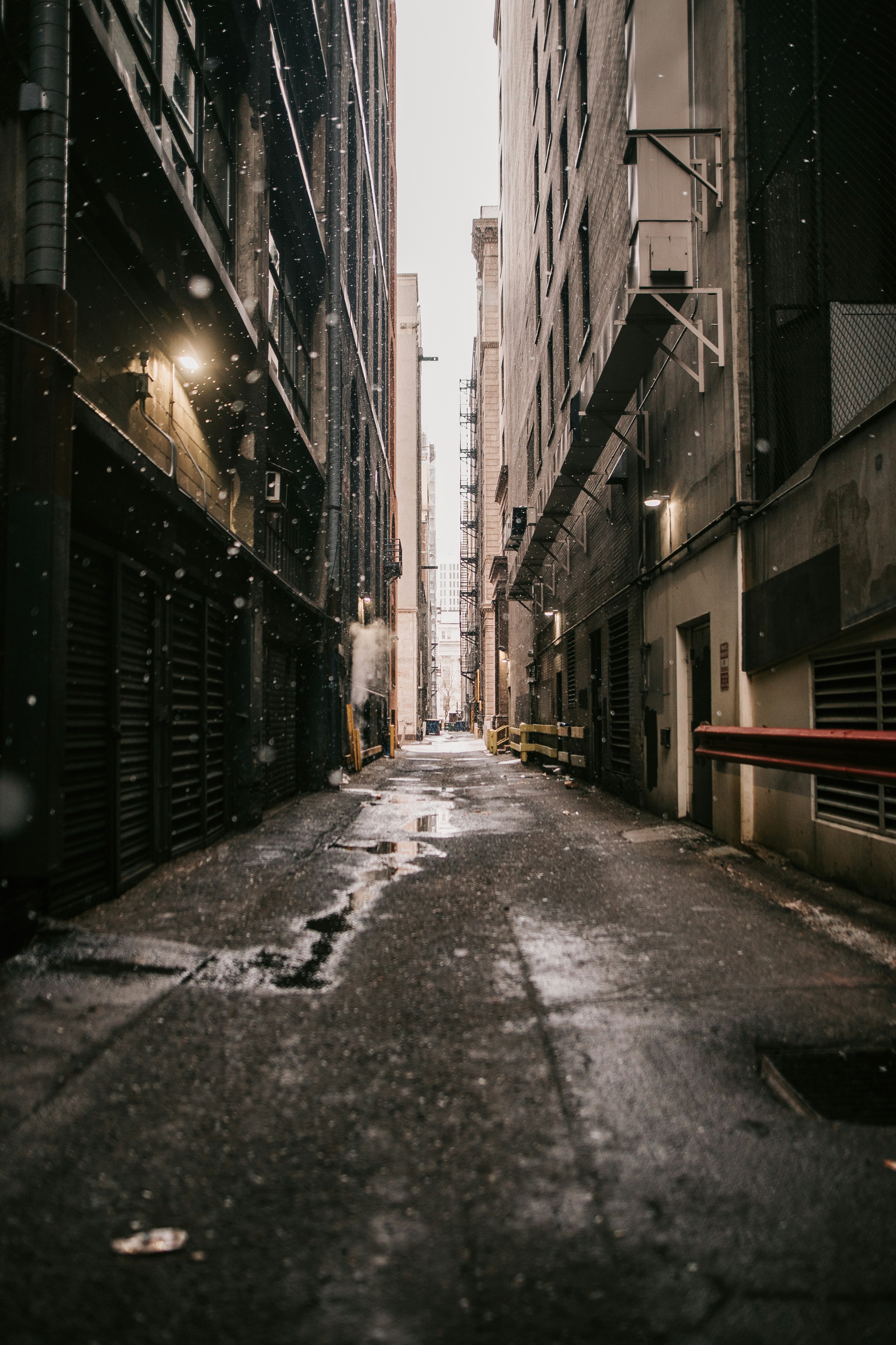 Photo by dillydallying