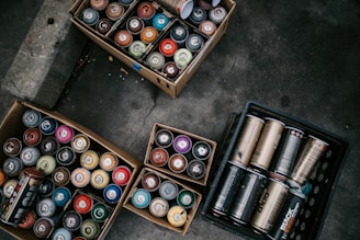 Several cardboard boxes and a crate contain an assortment of spray paint cans in various colors, organized neatly on a concrete floor.
