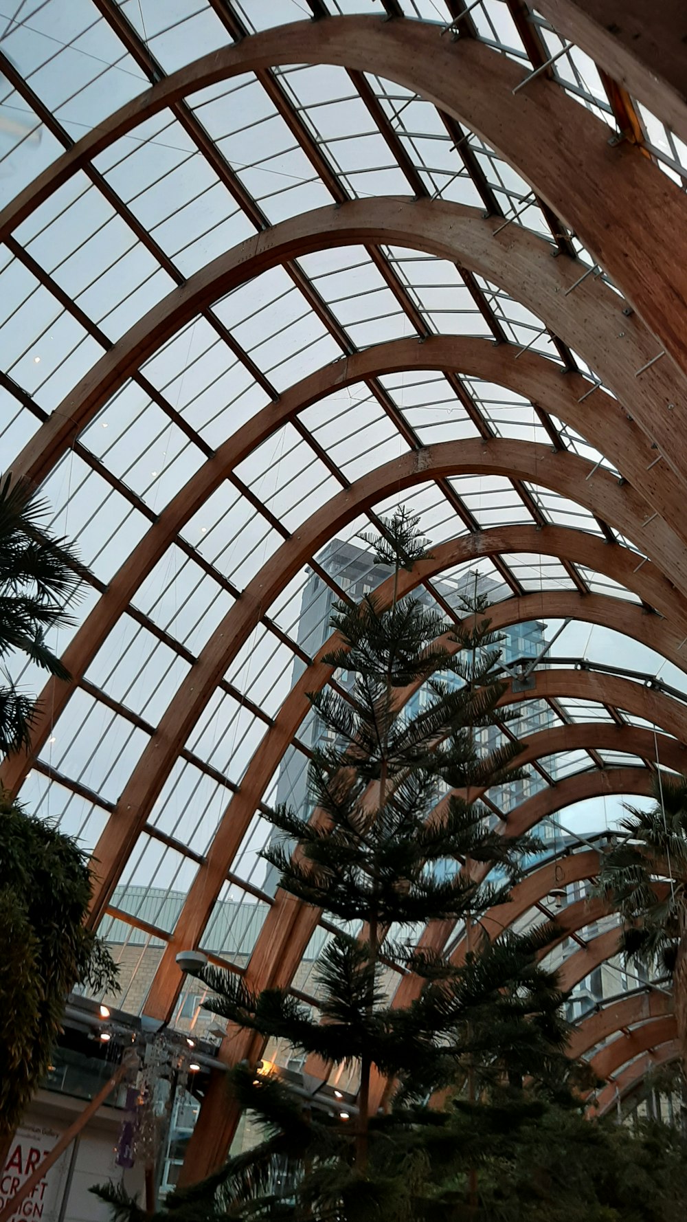 una gran estructura de madera con techo de cristal