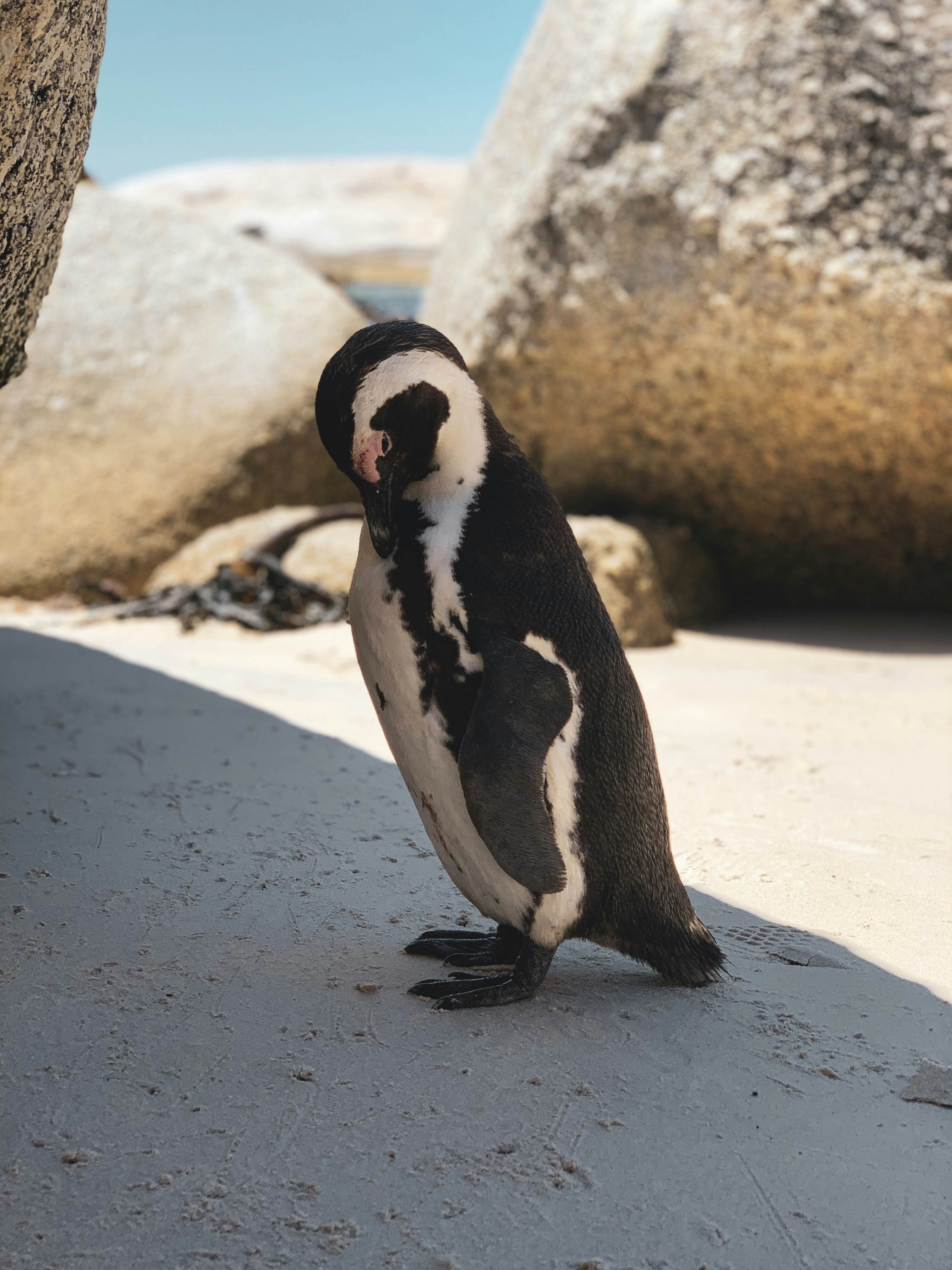 Photo by florentinemsst