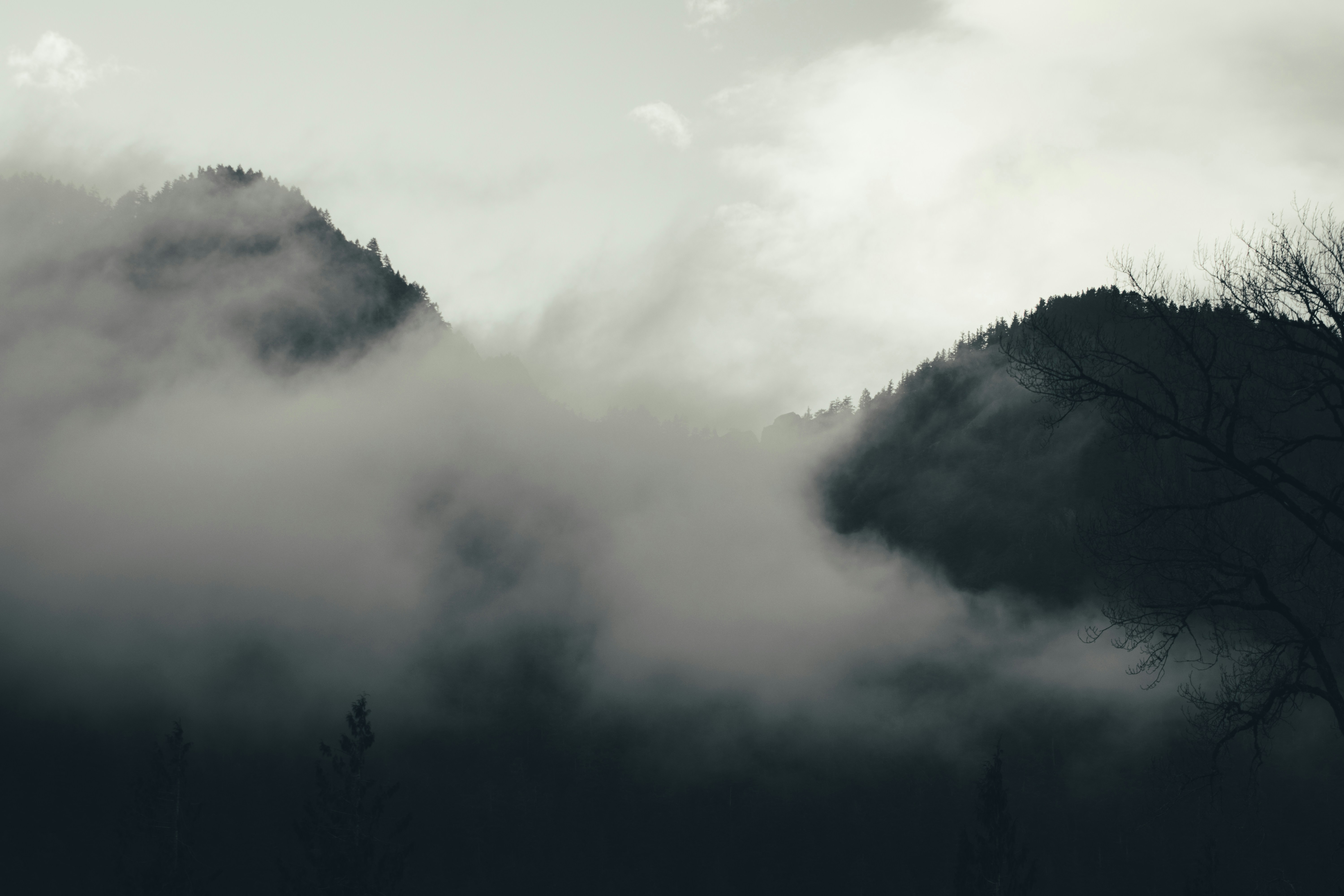 a black and white photo of a foggy mountain, Low clouds descend over mountains in Olympic National Park.