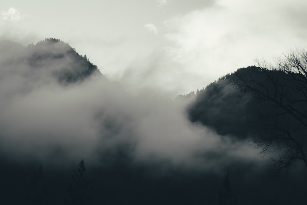 a black and white photo of a foggy mountain