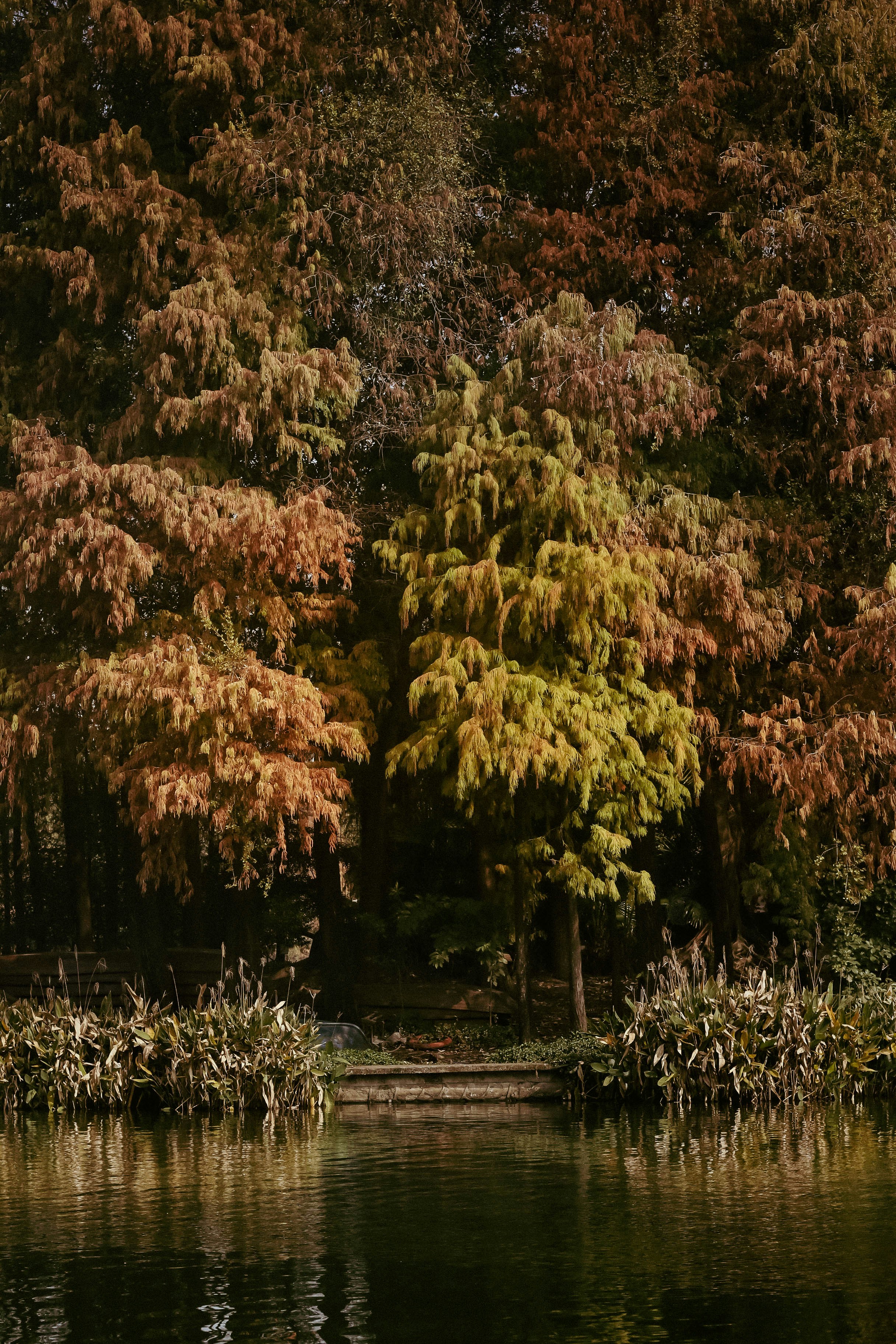 Photo by bikiki