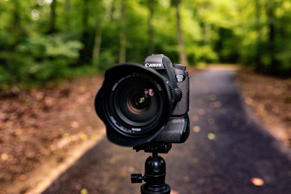A camera that is sitting on a tripod photo – Free Green Image on Unsplash