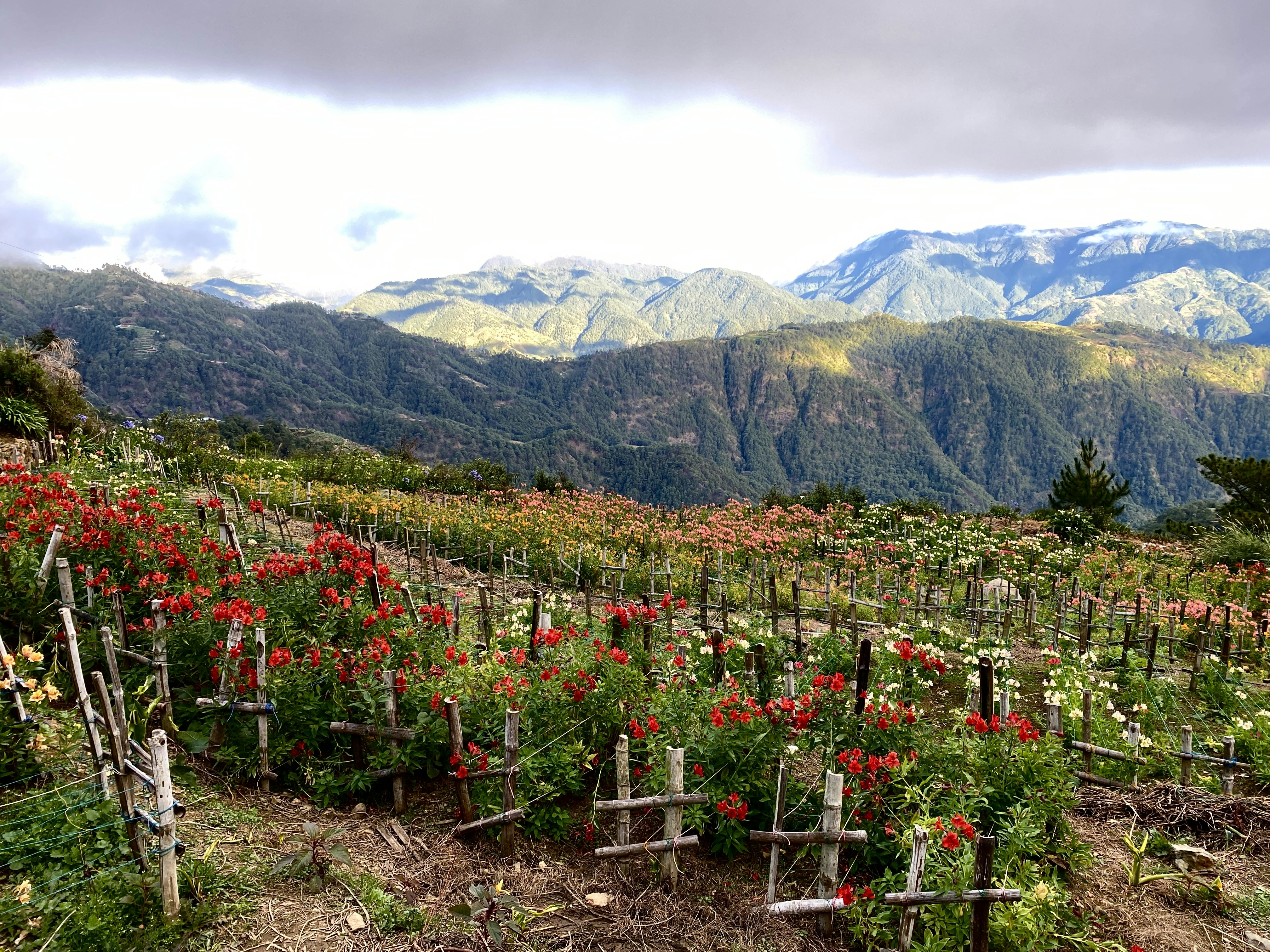 Jardín La Comarca