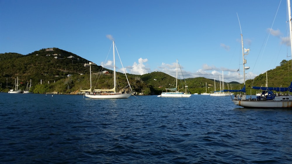 a group of boats floating on top of a body of water