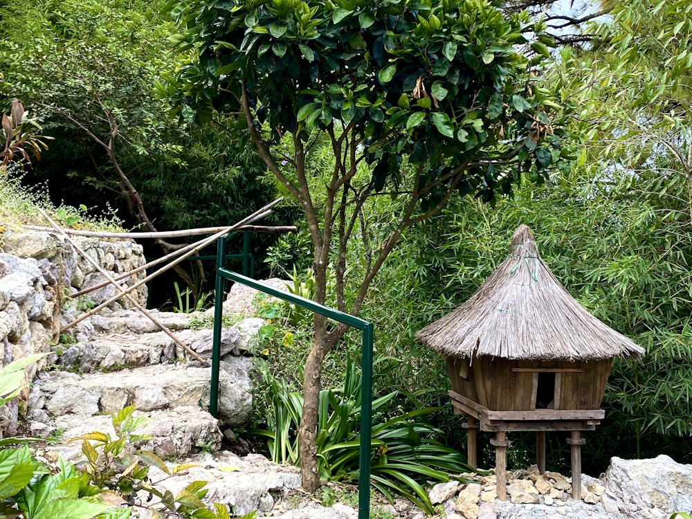 a small hut in the middle of a jungle