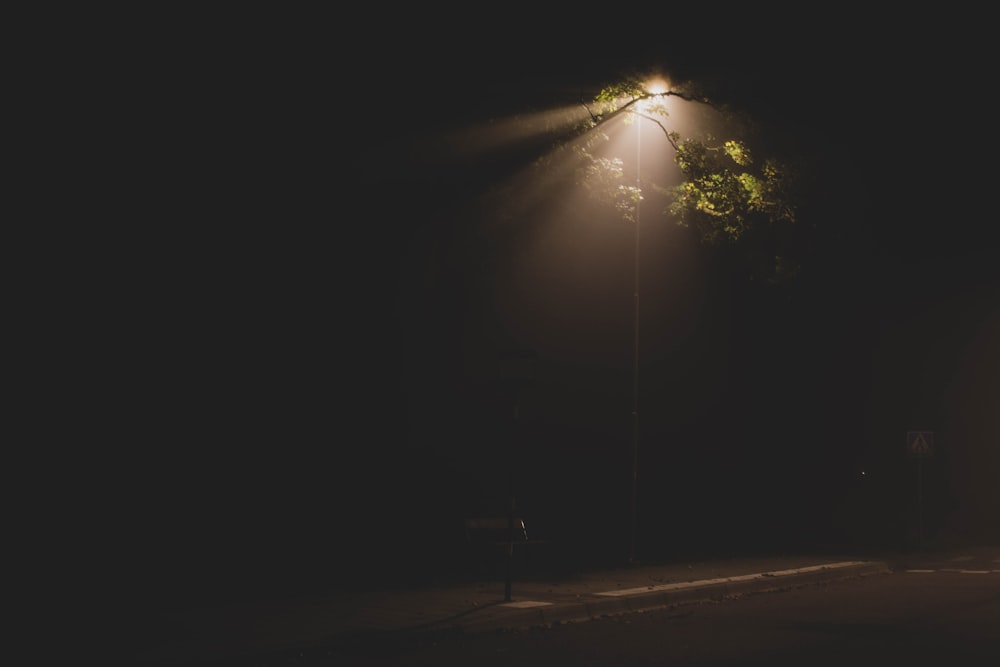 A Street Light Shining On A Dark Street Photo – Free Green Image On Unsplash