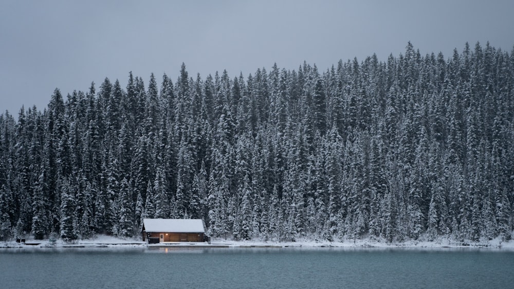 a cabin on the shore of a lake surrounded by snow covered trees