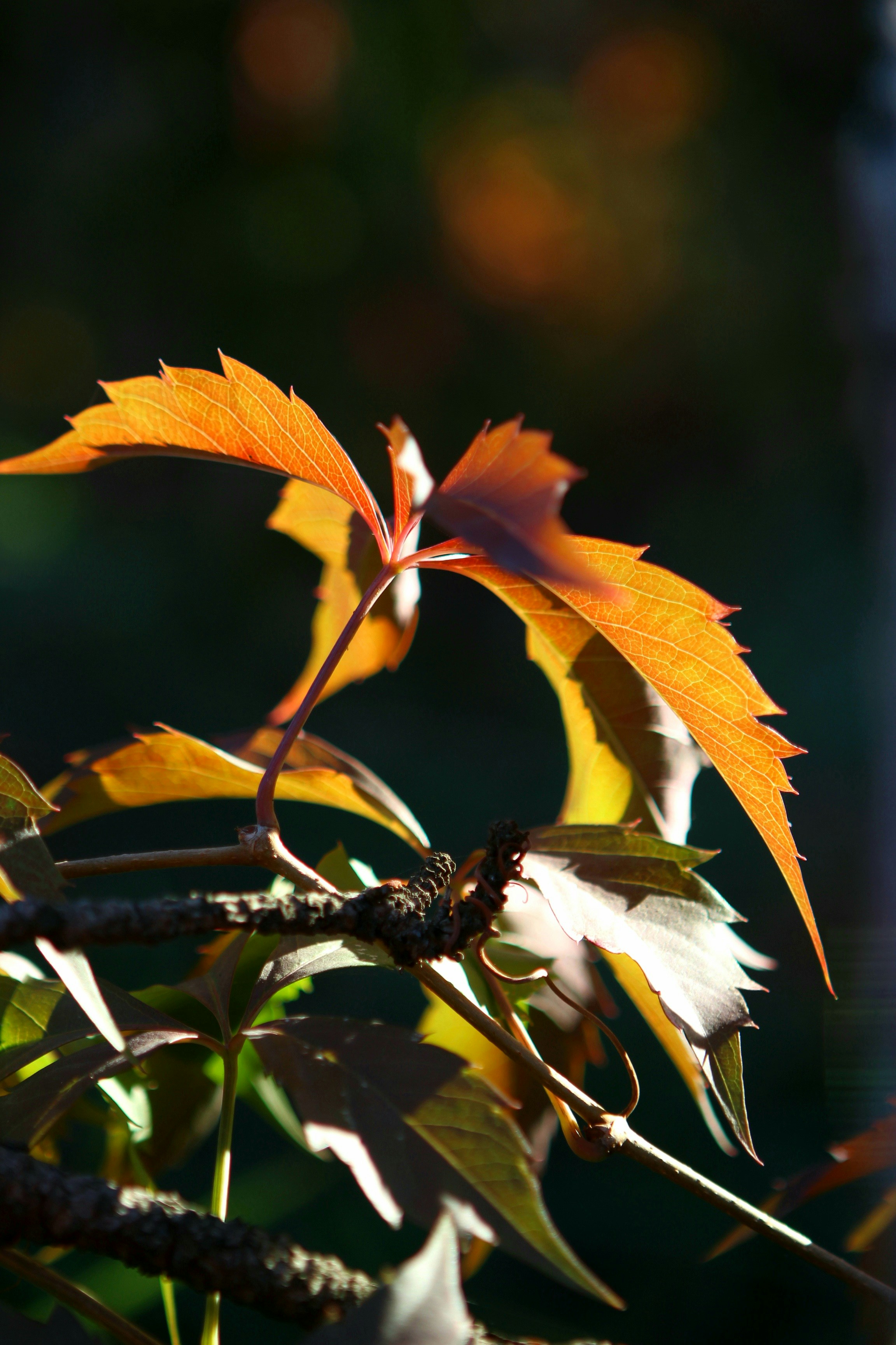 Photo by doinagavrilov