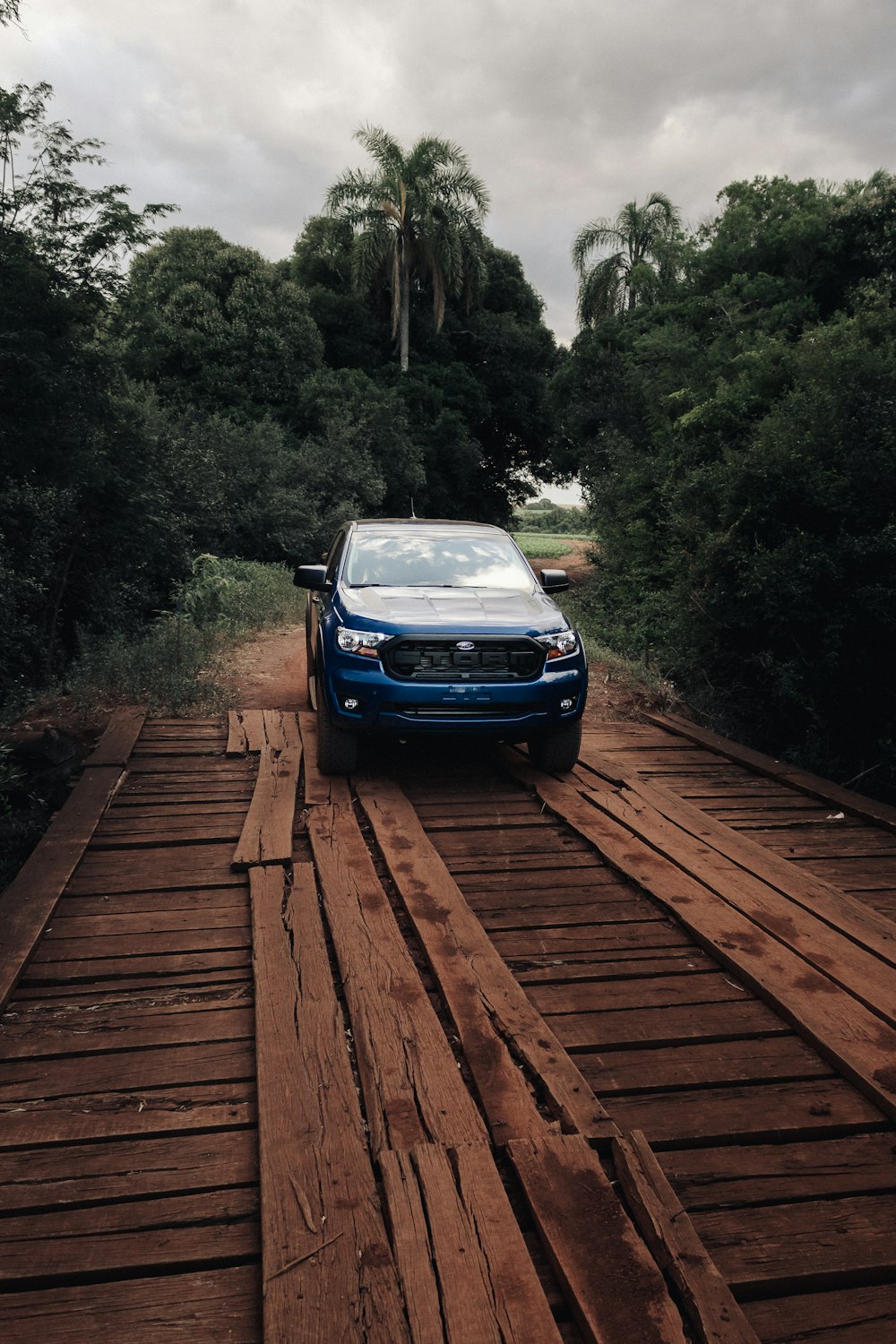 a car parked on pavement near a forest