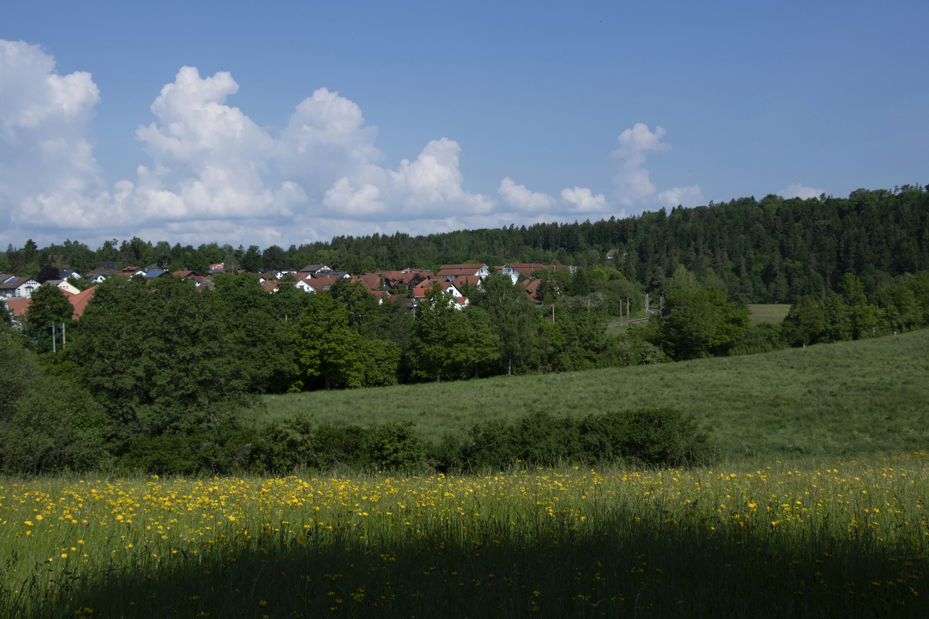 Paysage de Donaueschingen en Allemagne