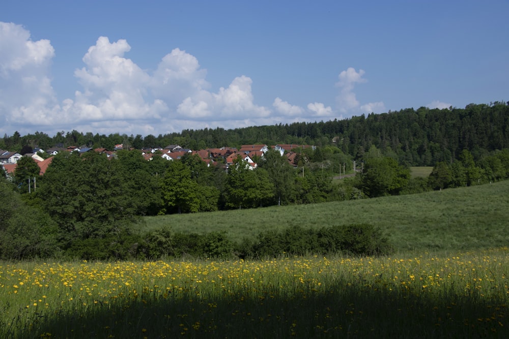 a lush green field with houses in the distance