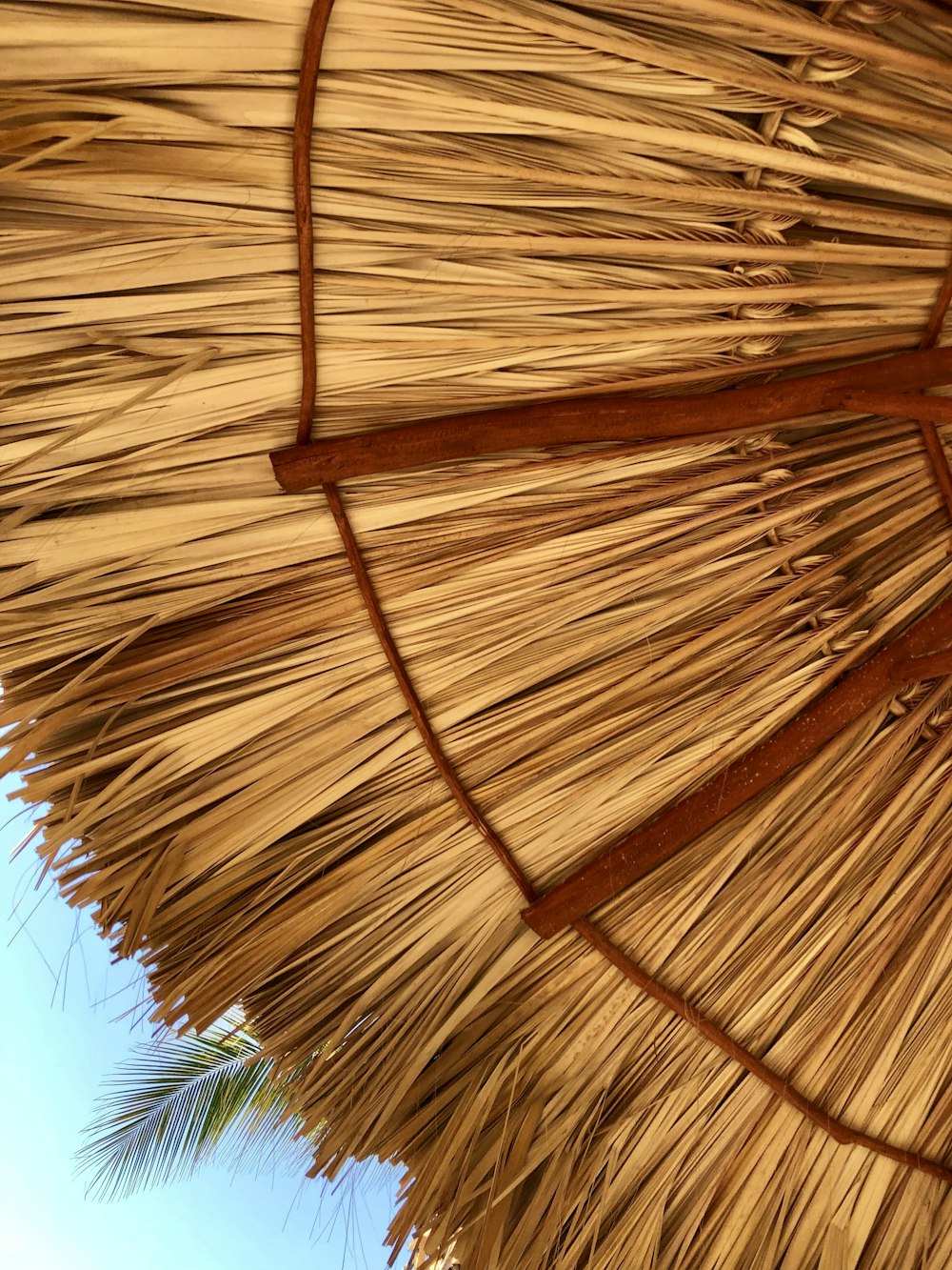 a straw umbrella with a blue sky in the background