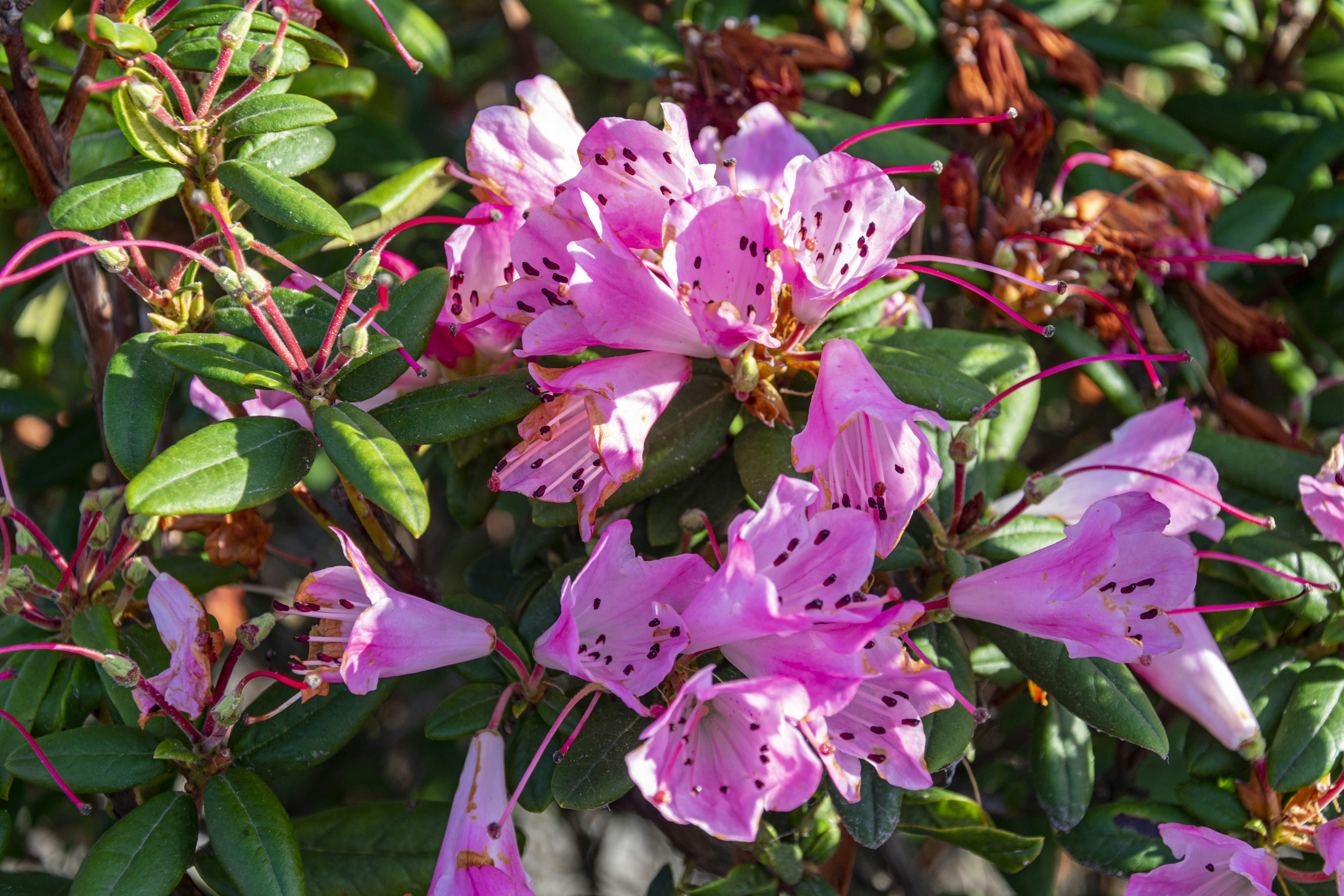 Photo by duskfallcrew