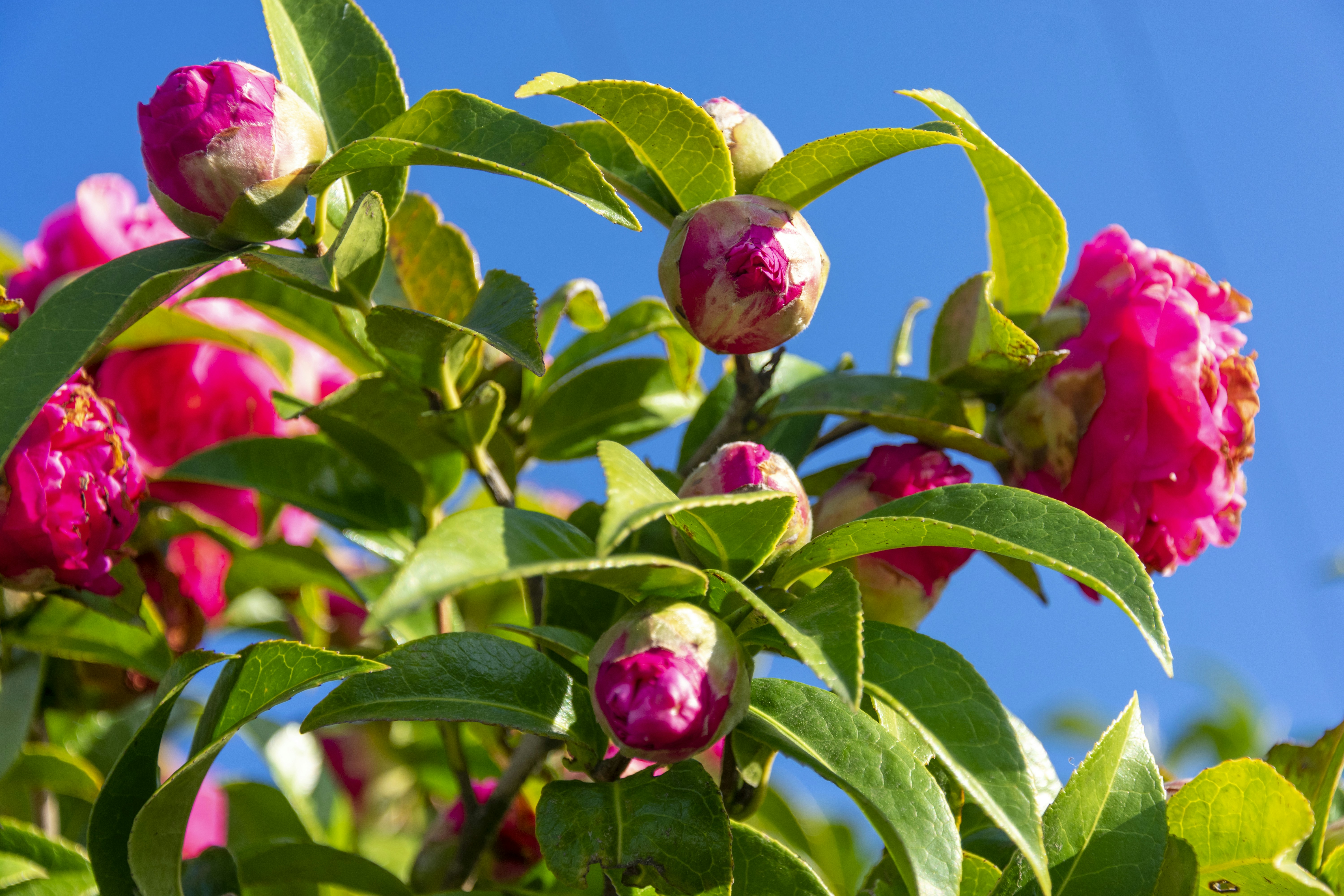 Photo by duskfallcrew