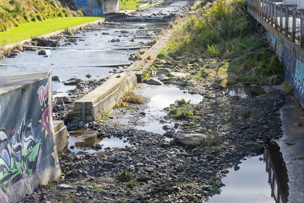 Ein Fluss, der durch eine üppige grüne Landschaft fließt