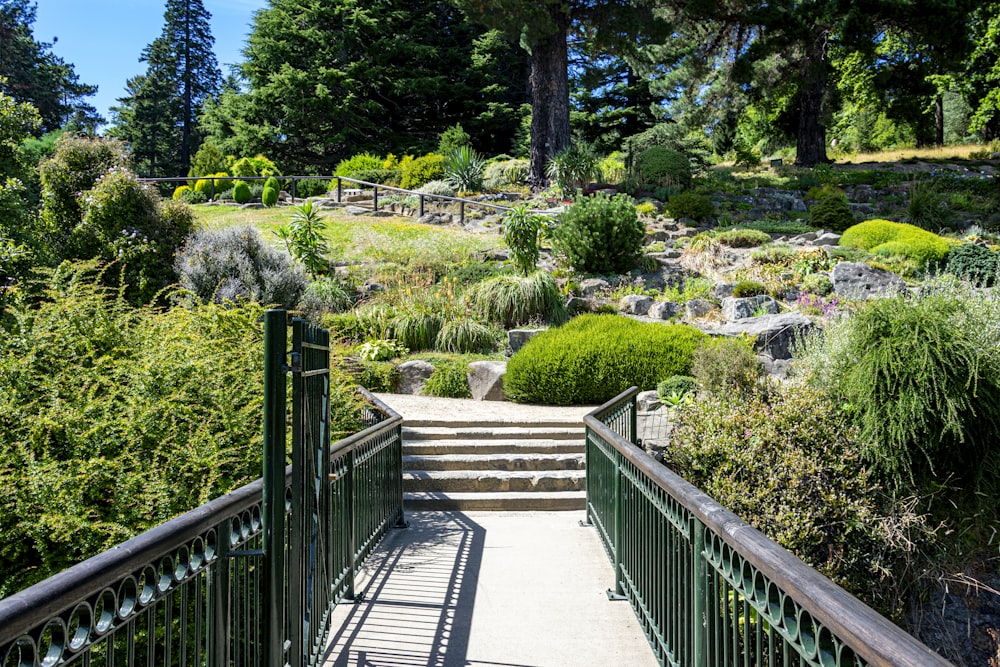 a set of stairs leading up to a lush green hillside