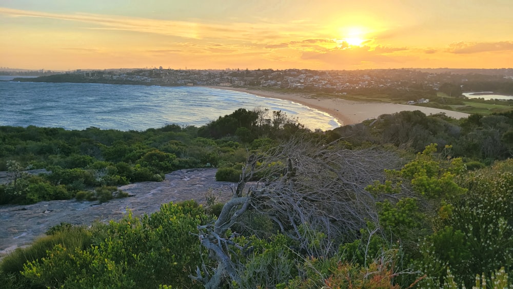 the sun is setting over the ocean and a beach