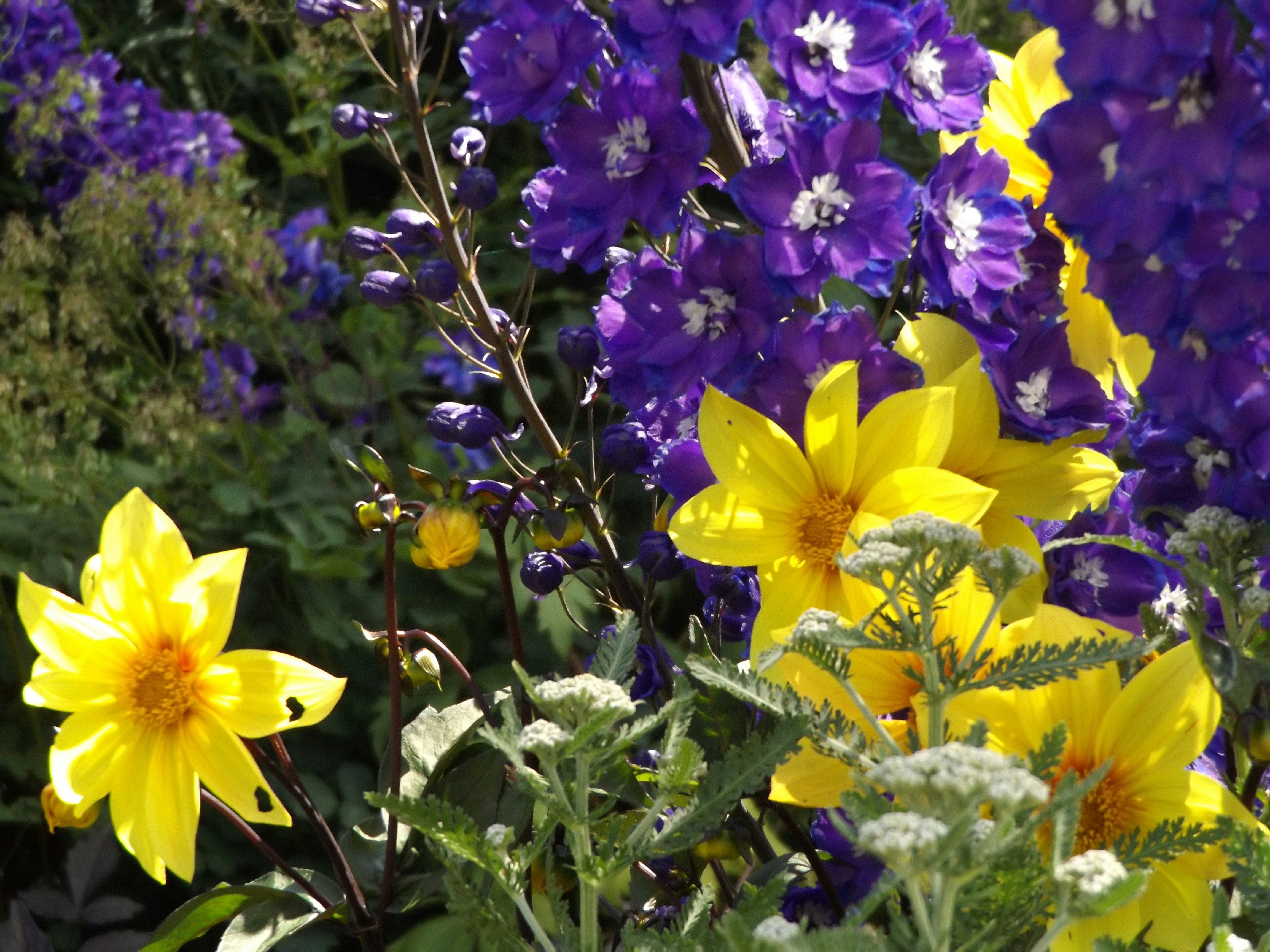 Photo by duskfallcrew