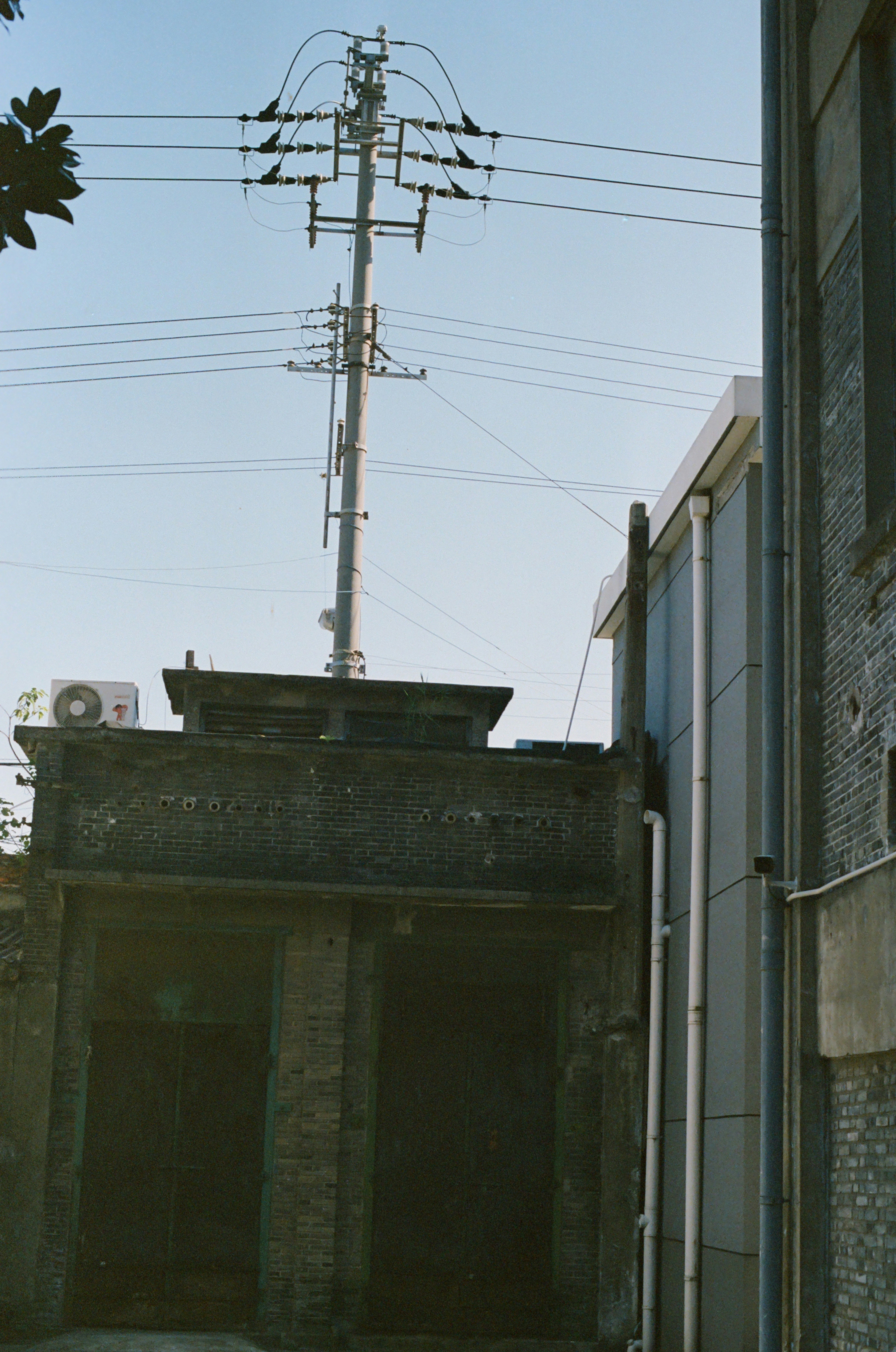 Photo by geraltyichen